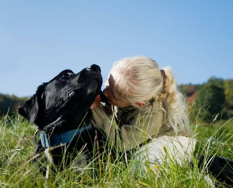 A child whispers in a black lab's ear while they sit in sunny grass together