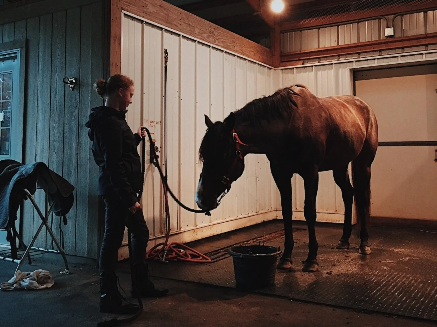 Photo of girl with a horse with cleaning supplies nearby