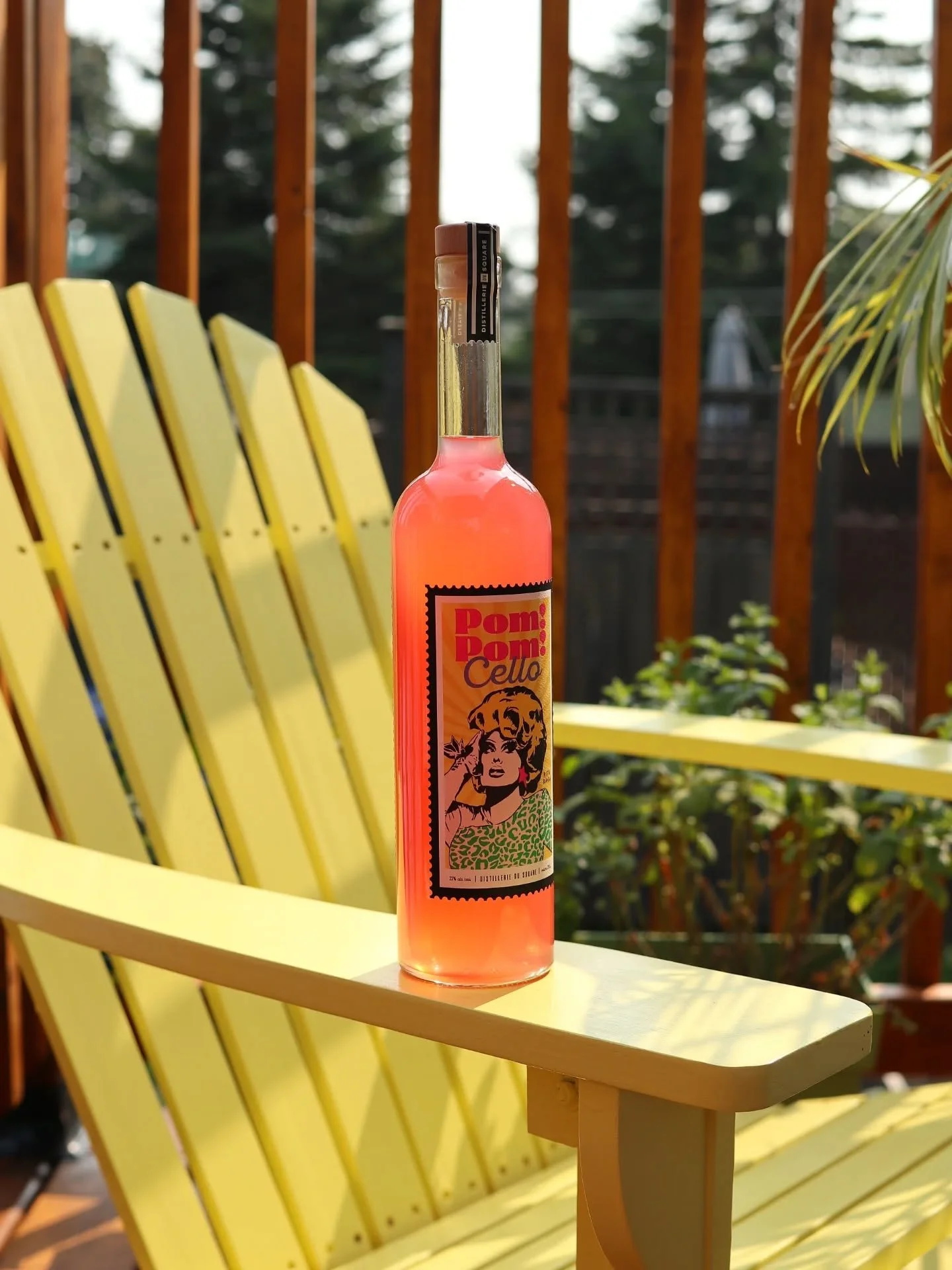 Un verre de soleil, &ccedil;a vous tente? ☀🍊

🧡🩷 Pom! Pom! Cello, c&rsquo;est pamplemousse rose + orange sanguine, distill&eacute; ici au Qu&eacute;bec. 👇🏼

Frais, fruit&eacute;, un brin festif&hellip; parfait pour quand tu veux que ton ap&eacut