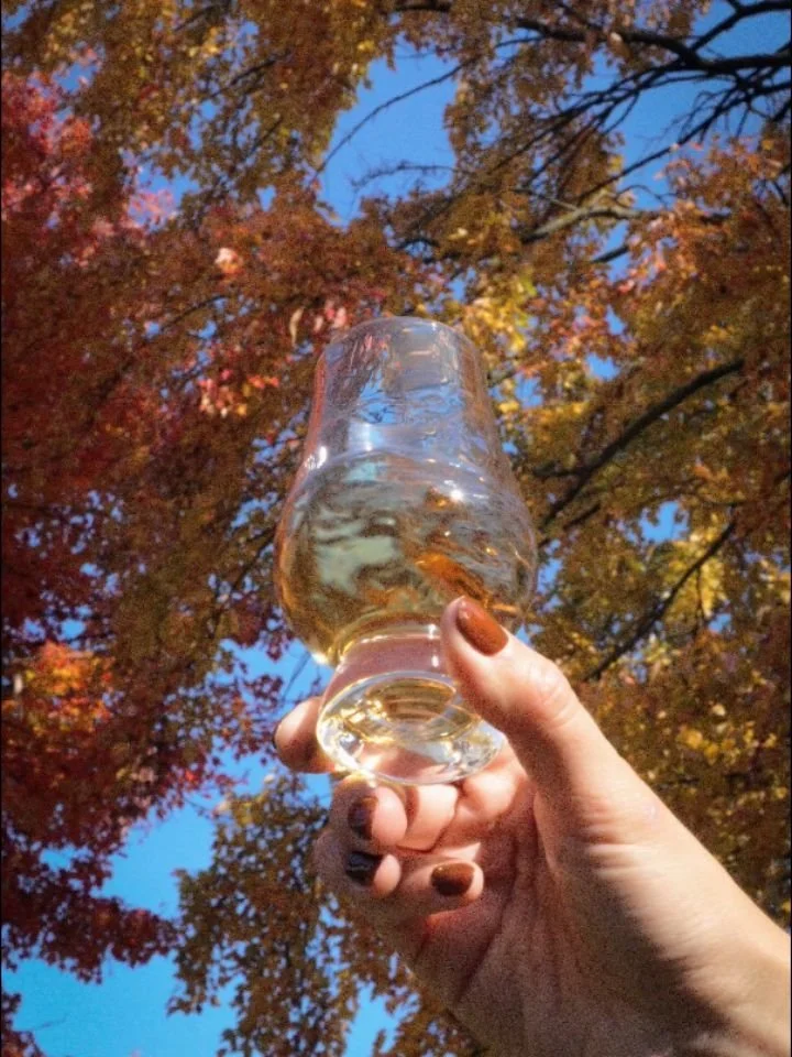 🥃 Nouveau tr&eacute;sor qu&eacute;b&eacute;cois : Rabaska de la Distillerie L&amp;M.

Un Single Malt 100 % orge locale, vieilli entre 4 et 8 ans🔥
Authentique, r&eacute;confortant et fi&egrave;rement d&rsquo;ici. 🍁

Swipe pour d&eacute;couvrir son 