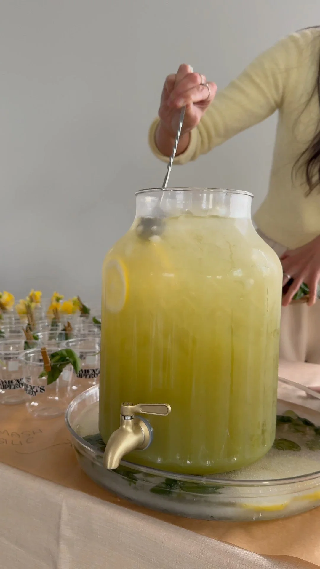 Smash éclatant basilic &amp; citron X Indigo Soda