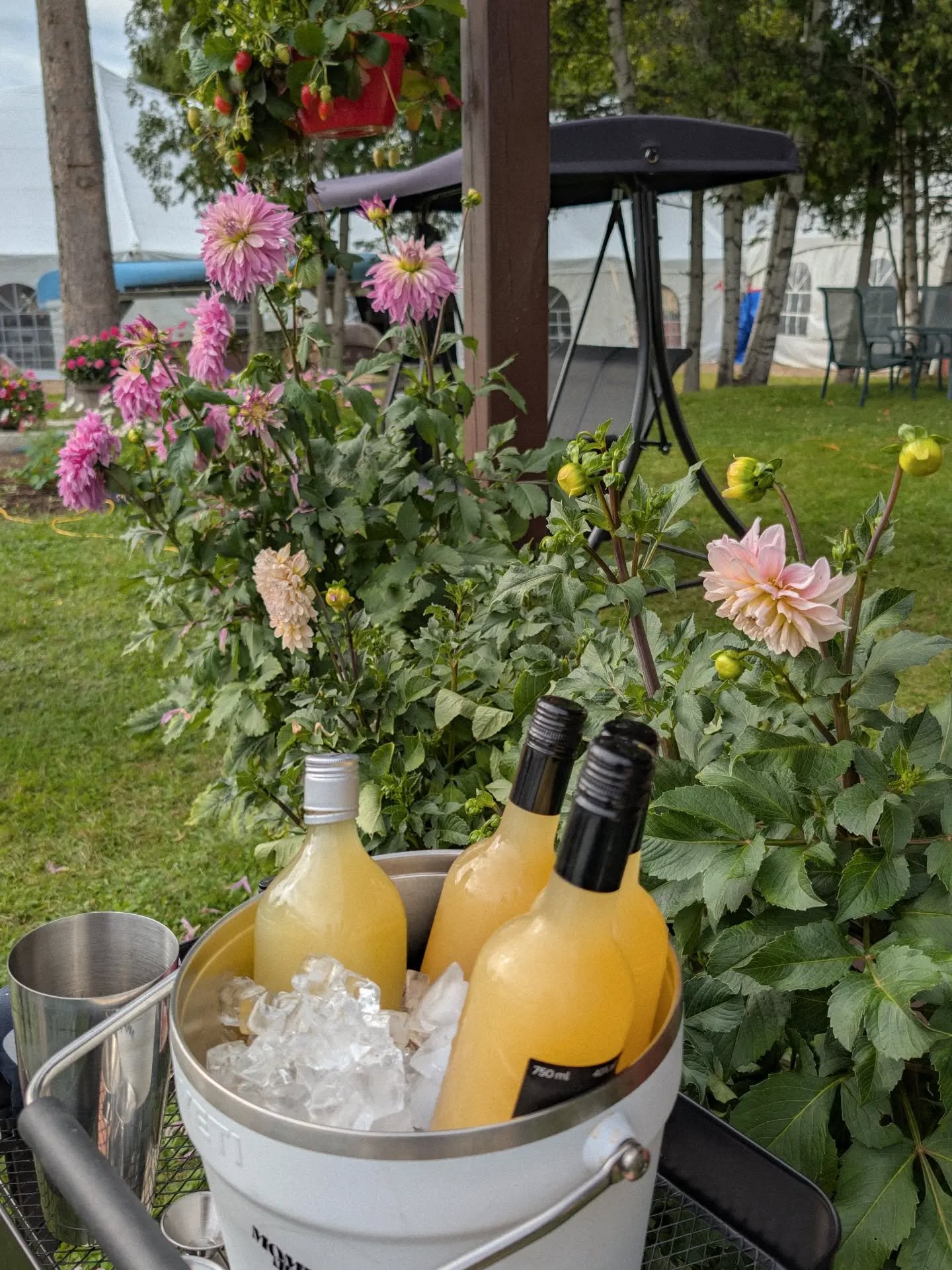 Premier duo cocktails de mariage pour Moments Ap&eacute;ro 👰🏽&zwj;♀️💍

On a servi un His &amp; Hers sp&eacute;cialement con&ccedil;u selon les pr&eacute;f&eacute;rences des nouveaux mari&eacute;s pour leur magnifique r&eacute;ception! 🤍 Toujours 