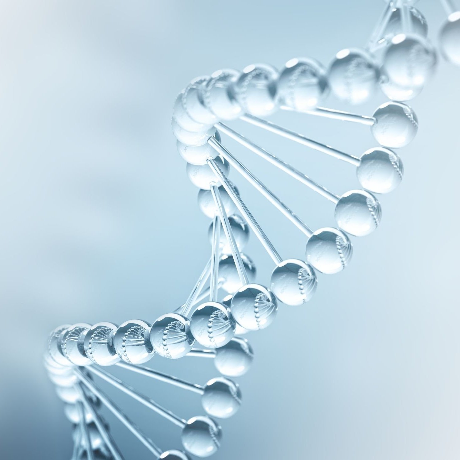 functional labs for hair loss