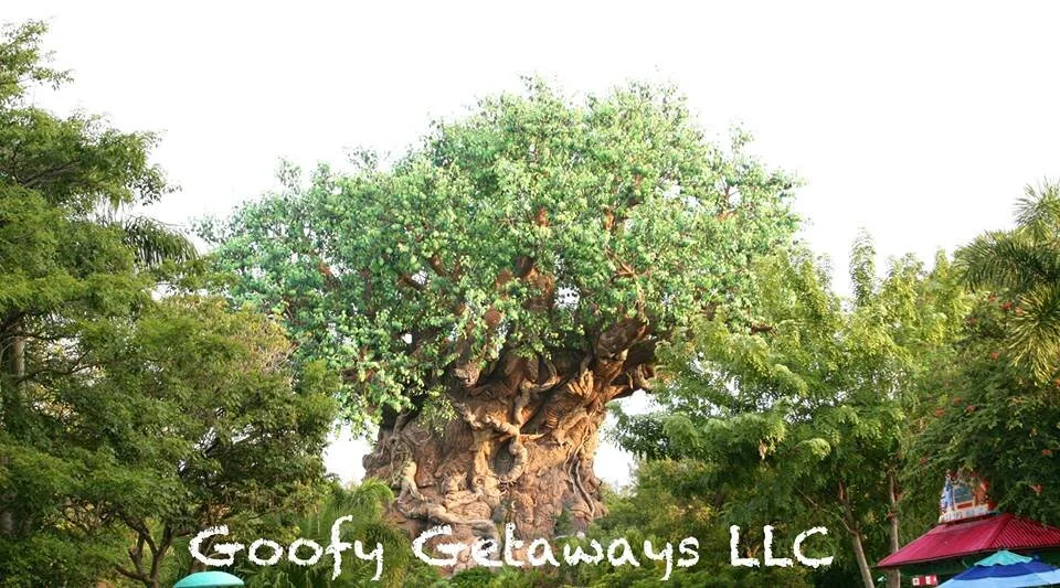 Disney Parks Ranked - Numbers 4, 5, and 6