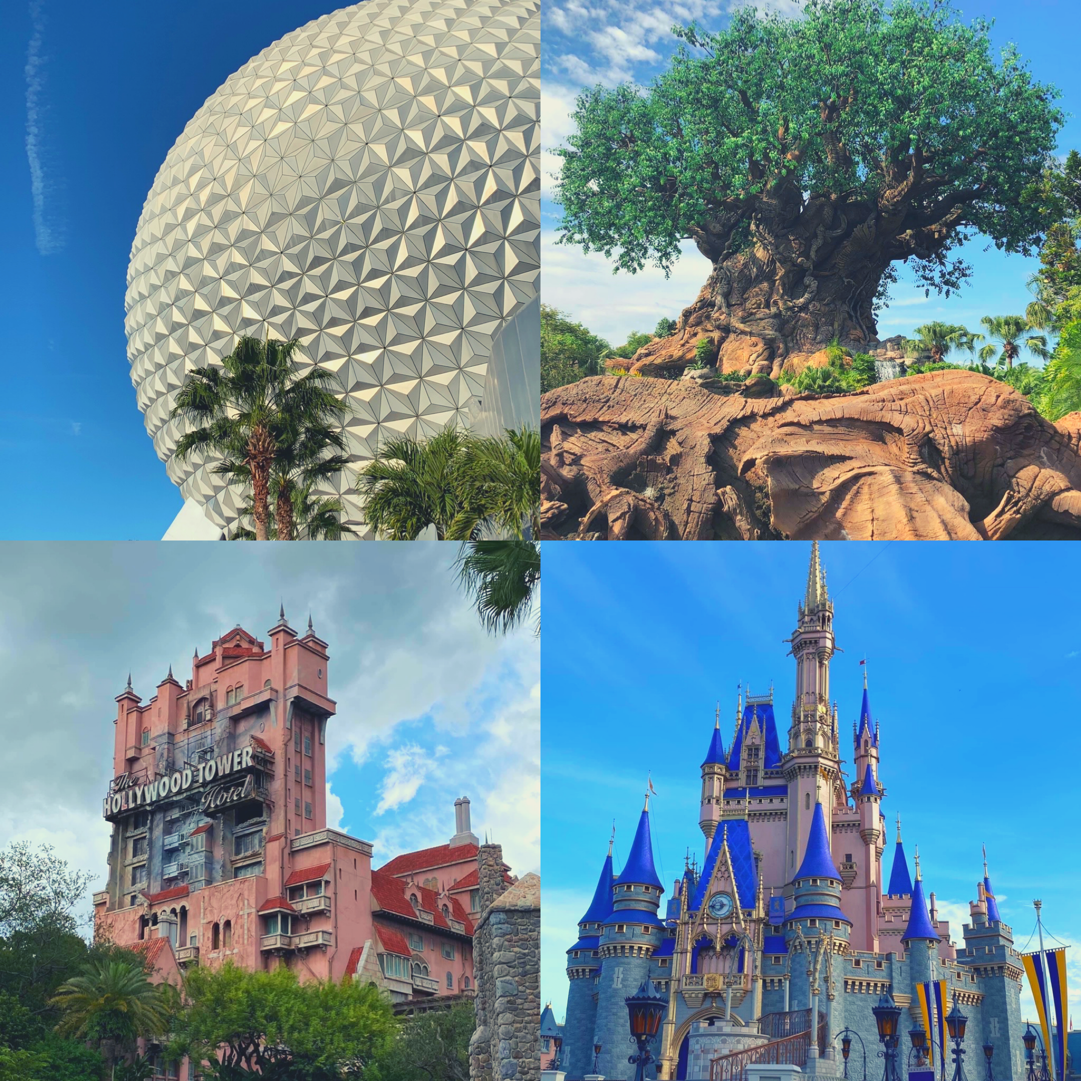 Navigating Walt Disney World's Park Pass Reservation System