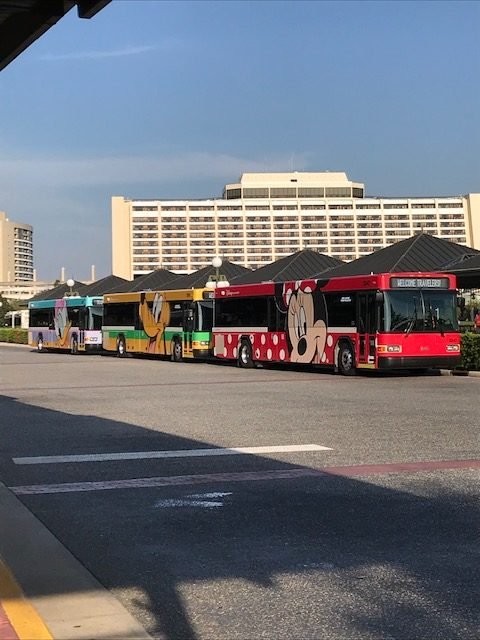 Buses