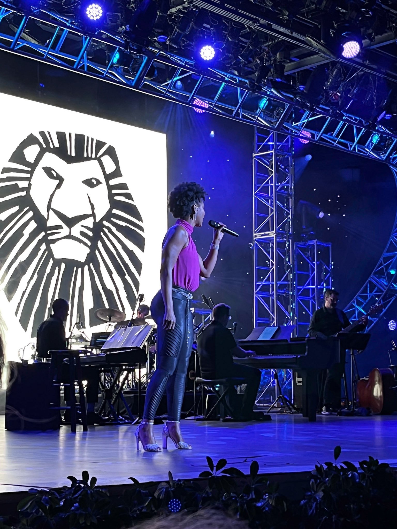 3-Festival of the Arts Broadway Concert Series.jpg