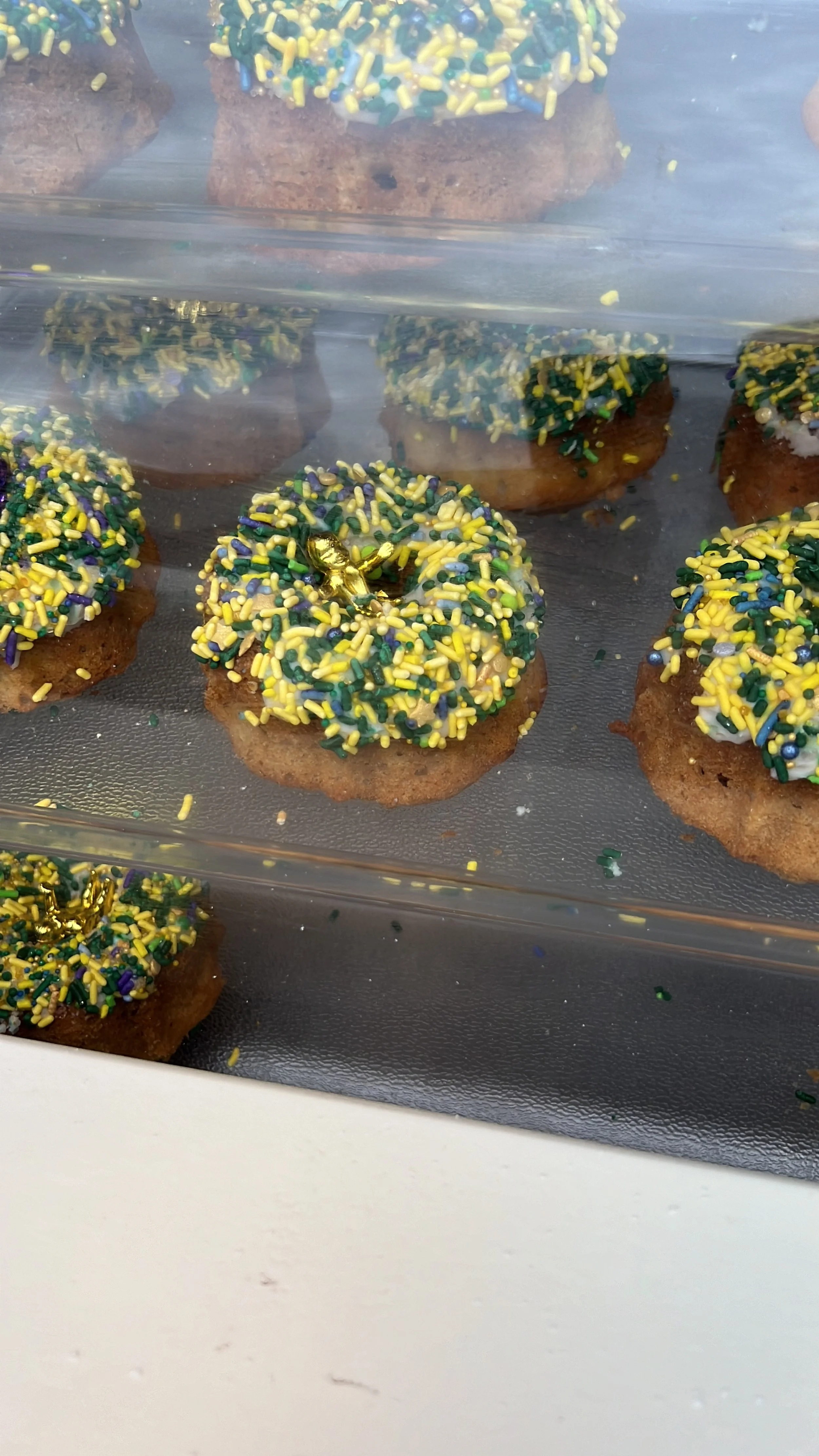 Universal Mardi Gras4.JPG