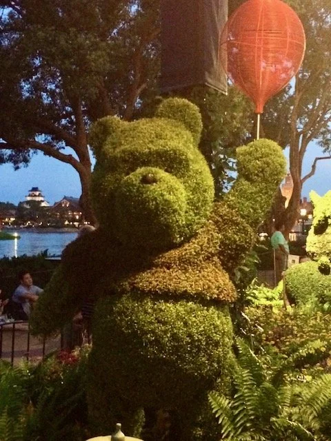 Flower & Garden 5.JPG