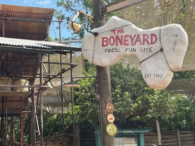 The Boneyard.JPG