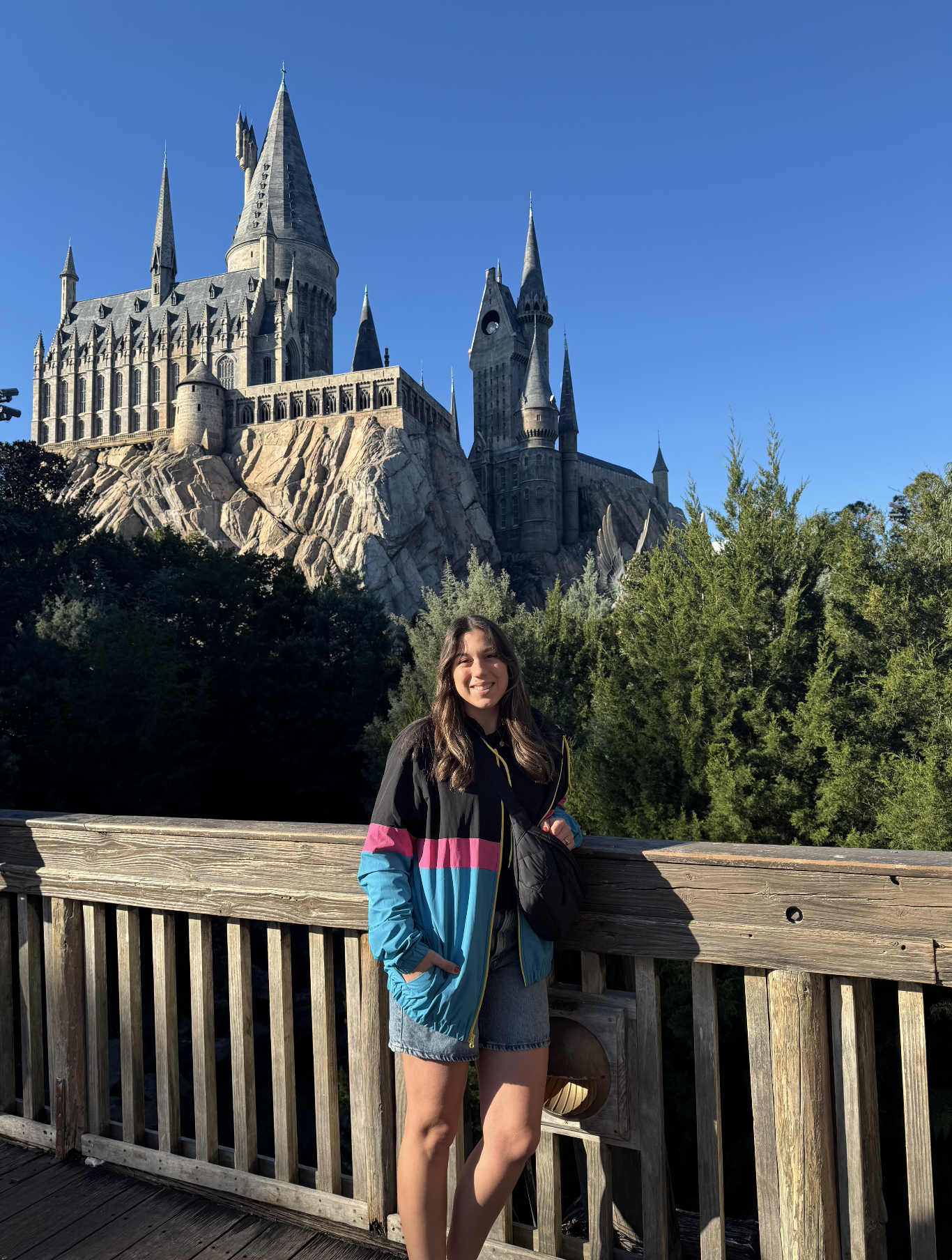 Arliss Hogwarts Castle.png