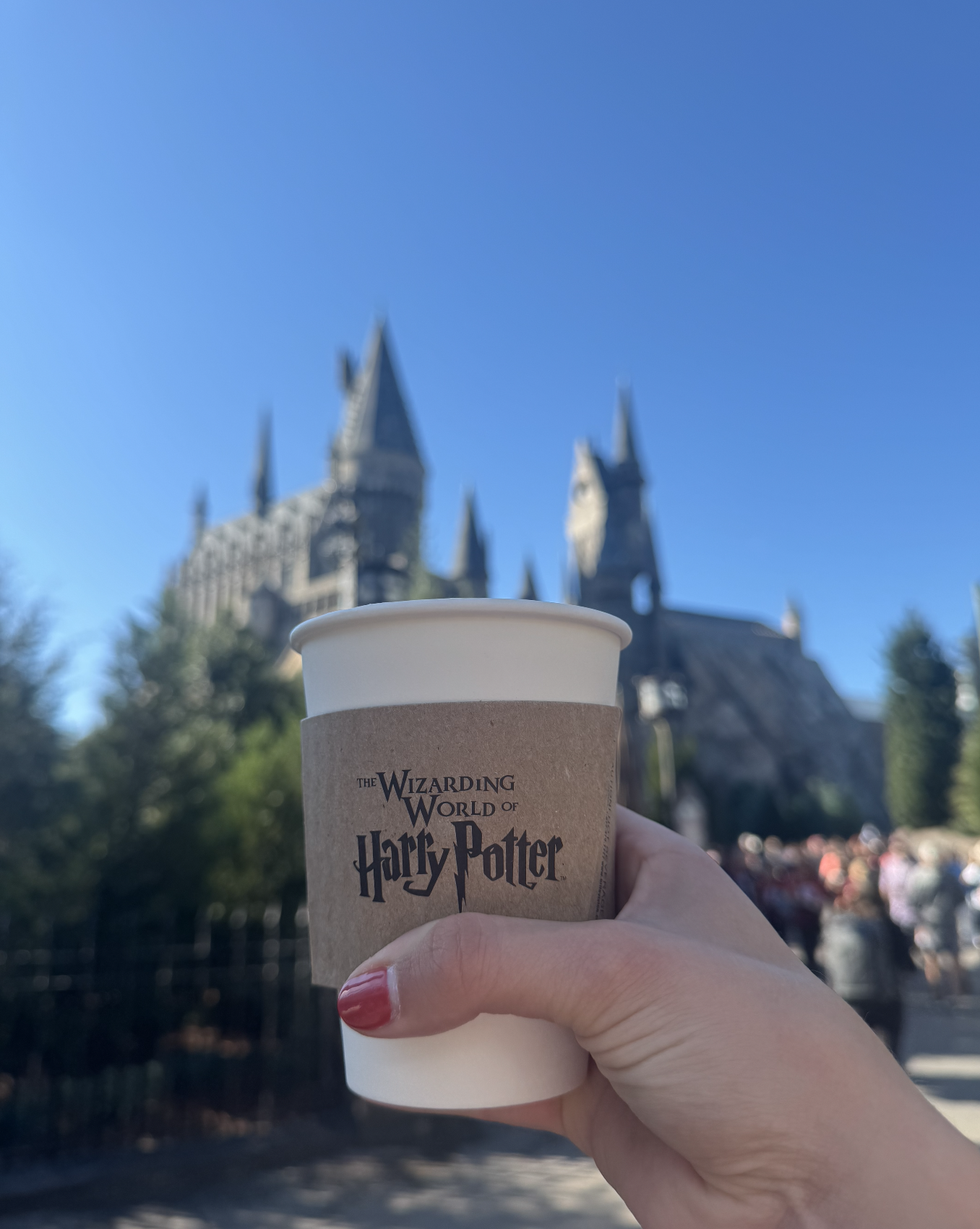 Butterbeer Hogwarts Castle.png