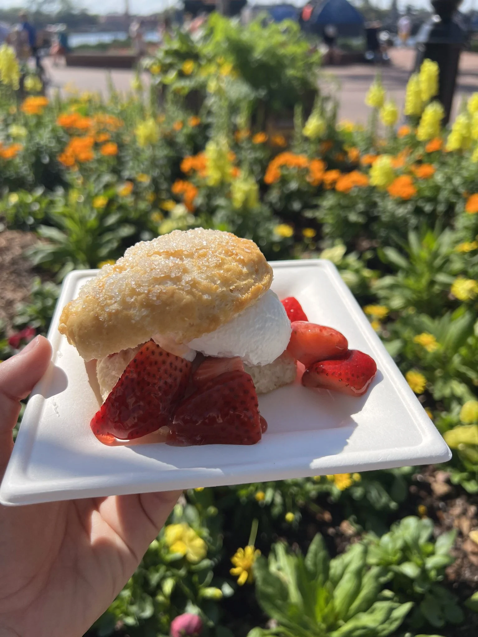 Flower & Garden Strawberry Shortcake.jpg