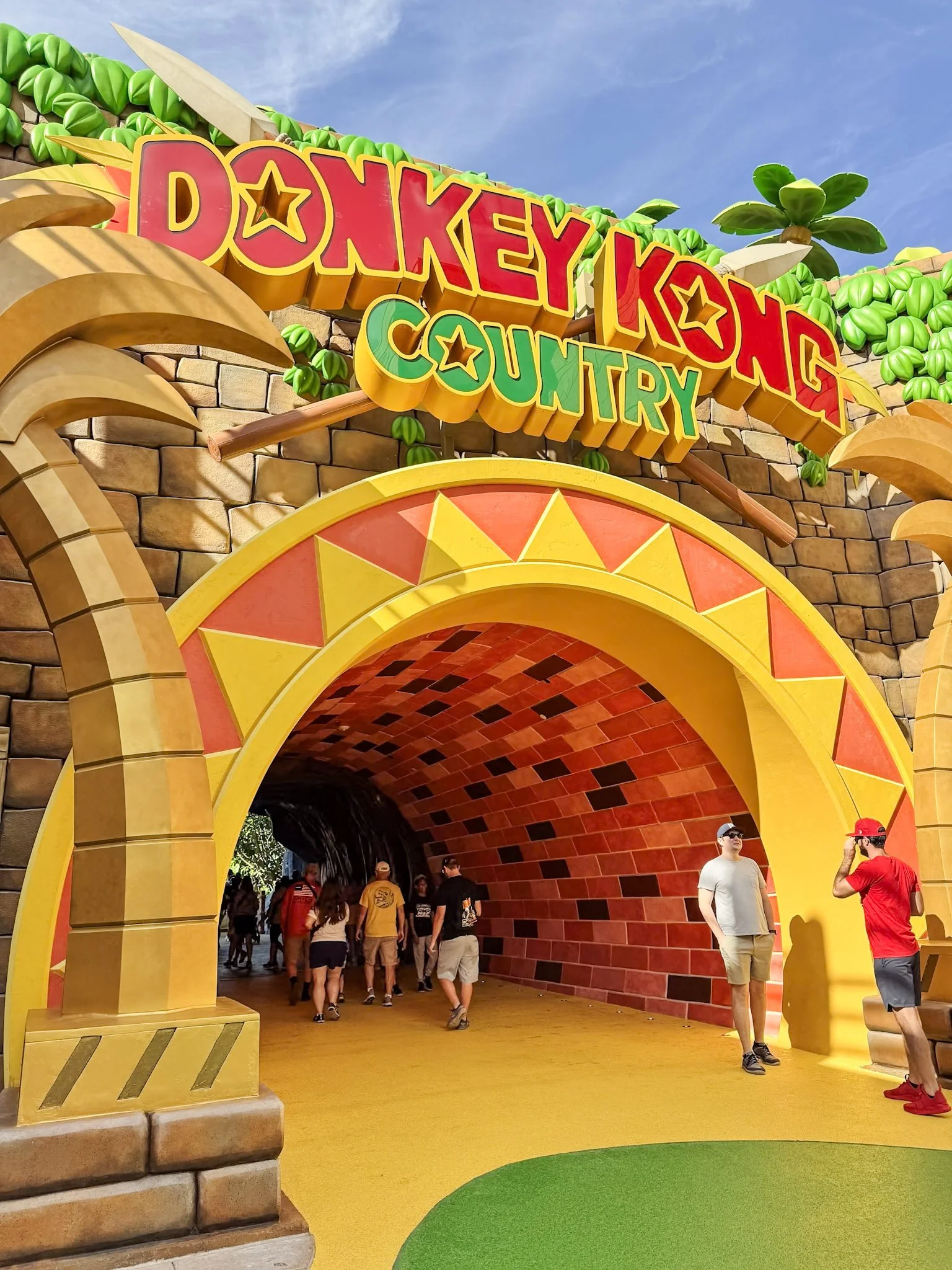 Donkey Kong Country Entrance