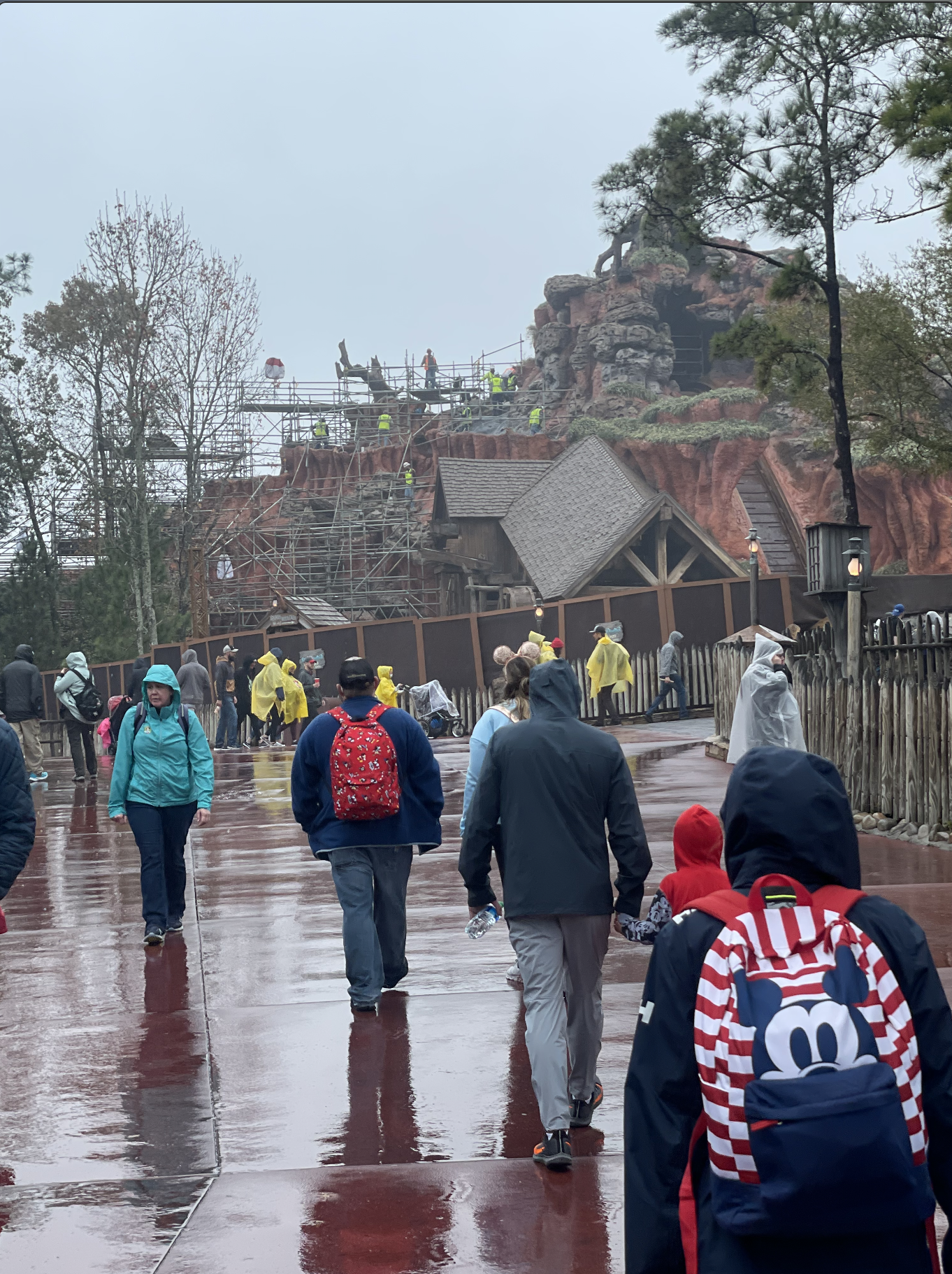 Tiana's Bayou Adventure Construction
