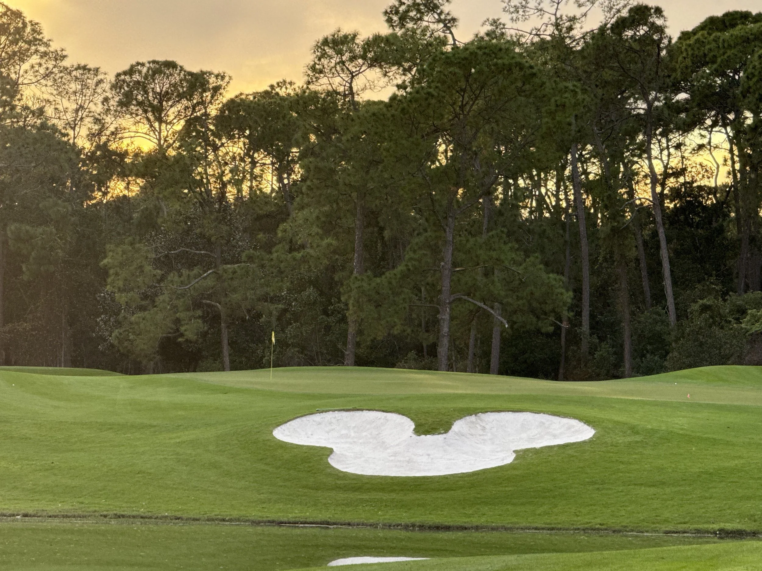 mickey sand trap at sunset at disney's magnolia golf course