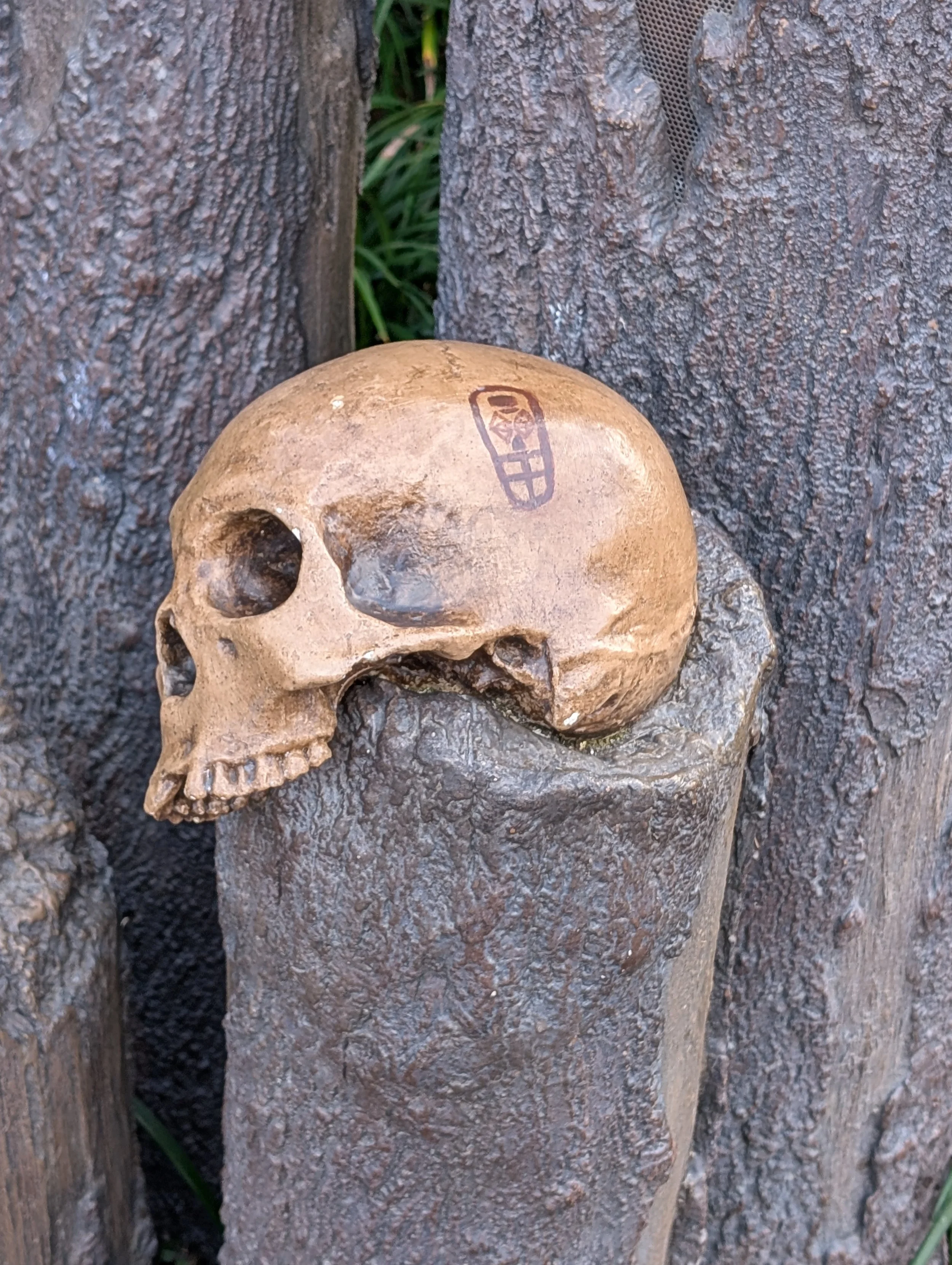 a skull on a piece of wood
