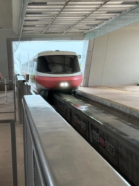 coral and white colored monorail