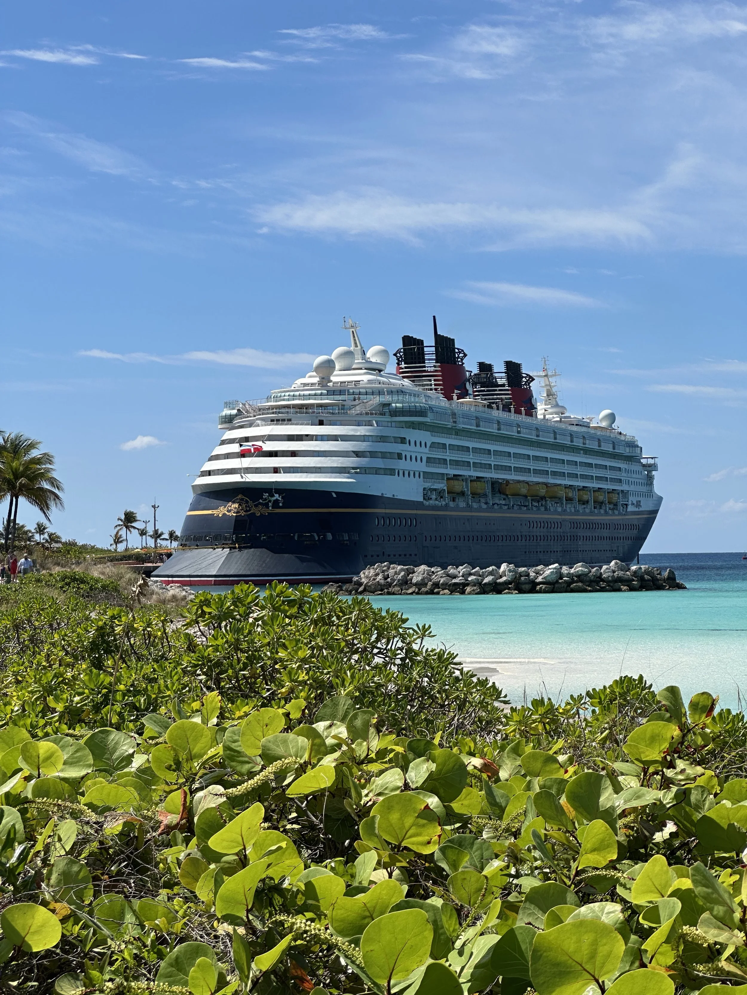 a cruise ship sitting on water in the distance
