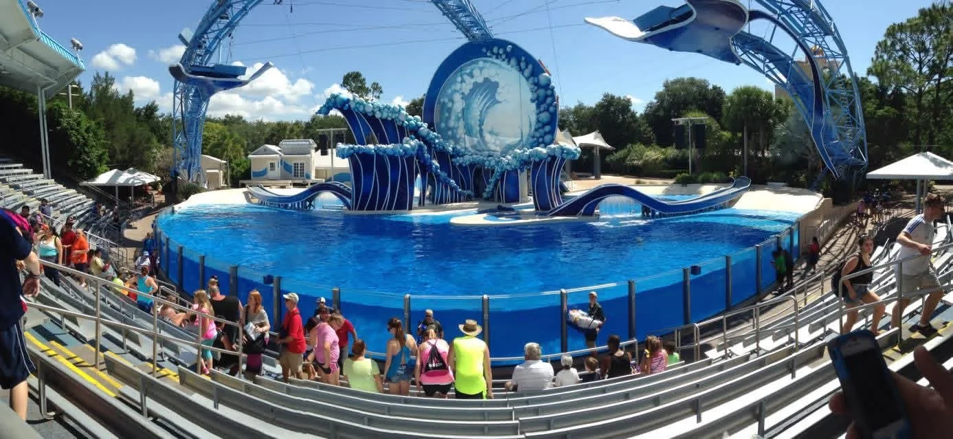 A wide view of SeaWorld Orlando's orca stadium and wave-themed set, with a roller coaster visible in the distance.