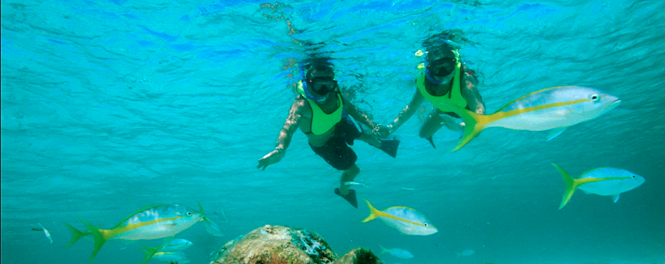 two swimmers snorkeling in the ocean