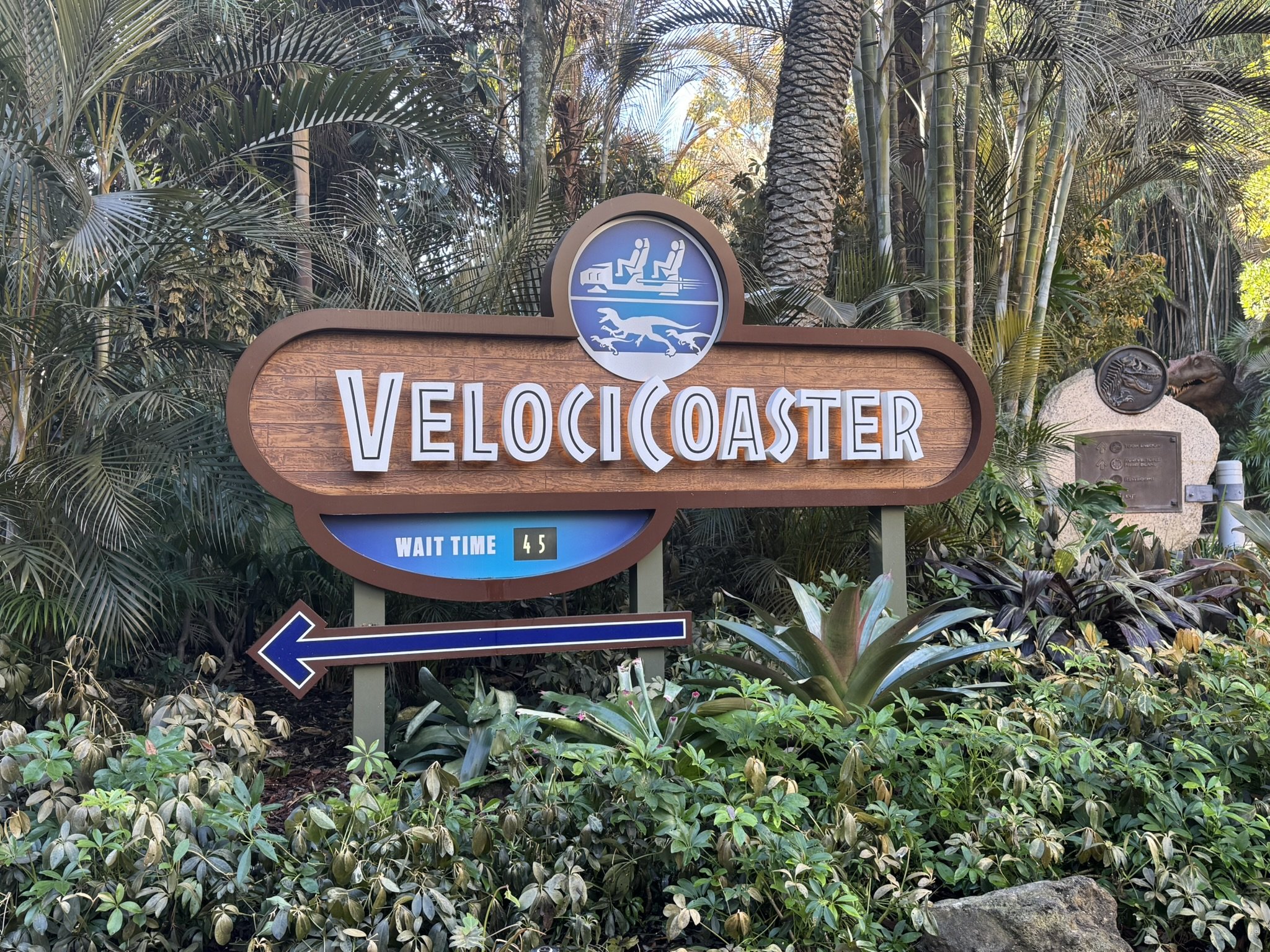 Universal Orlando for Young Adults: Thrills, Strategy, and Vibes