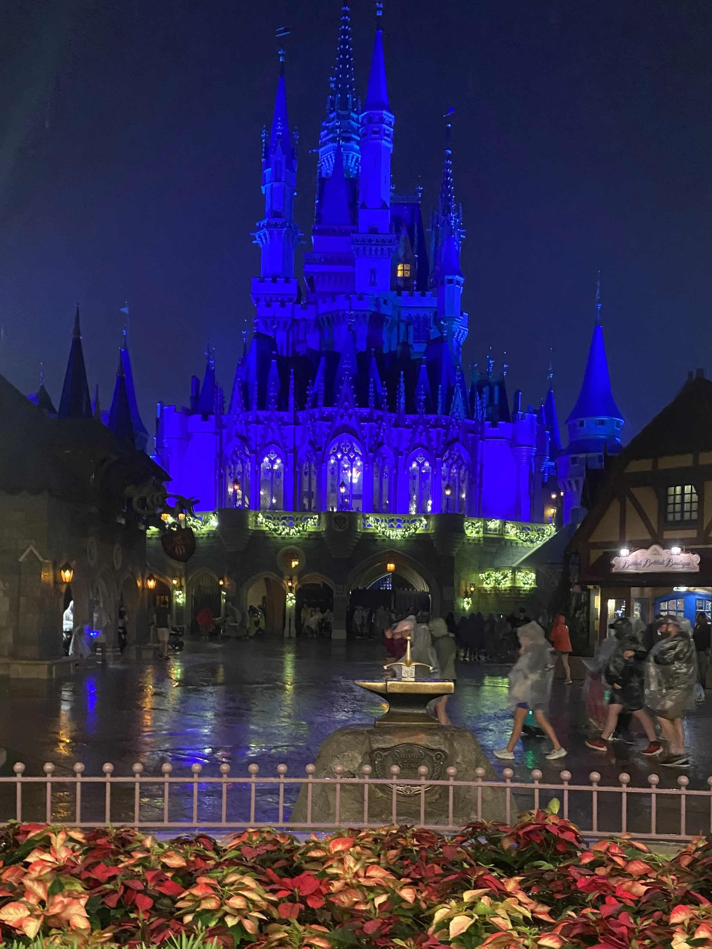 back of cinderella castle at night