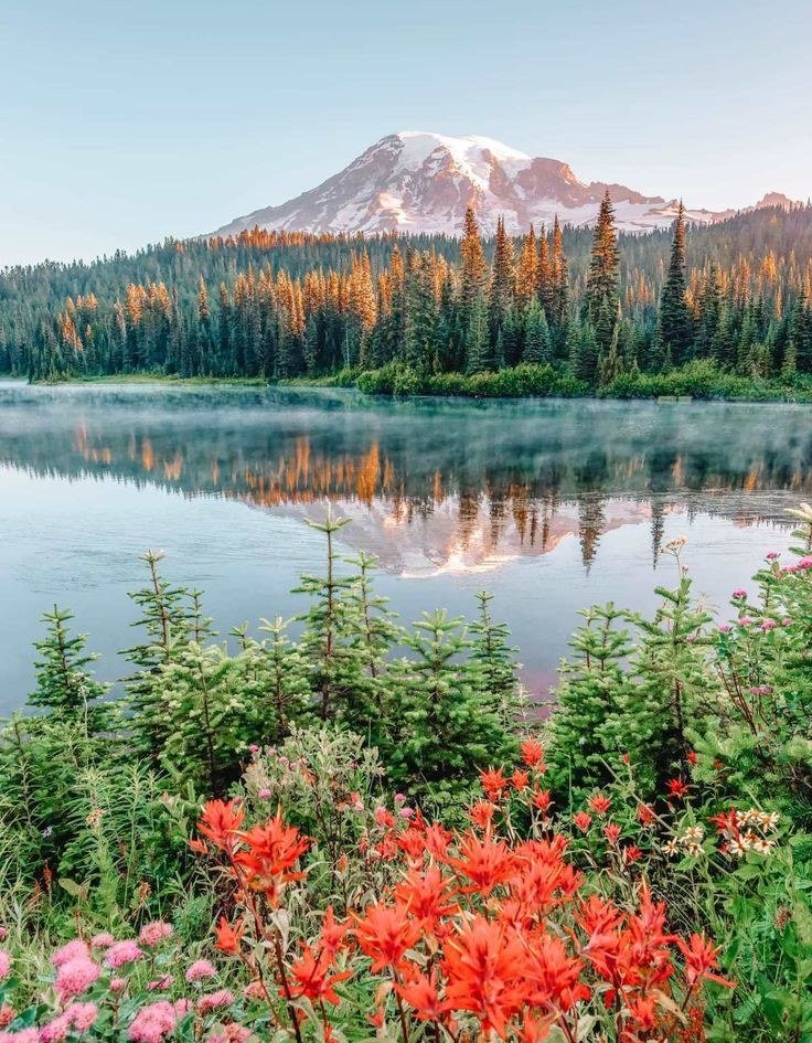 HOW MUCH DOES THERAPY COST IN WASHINGTON?
