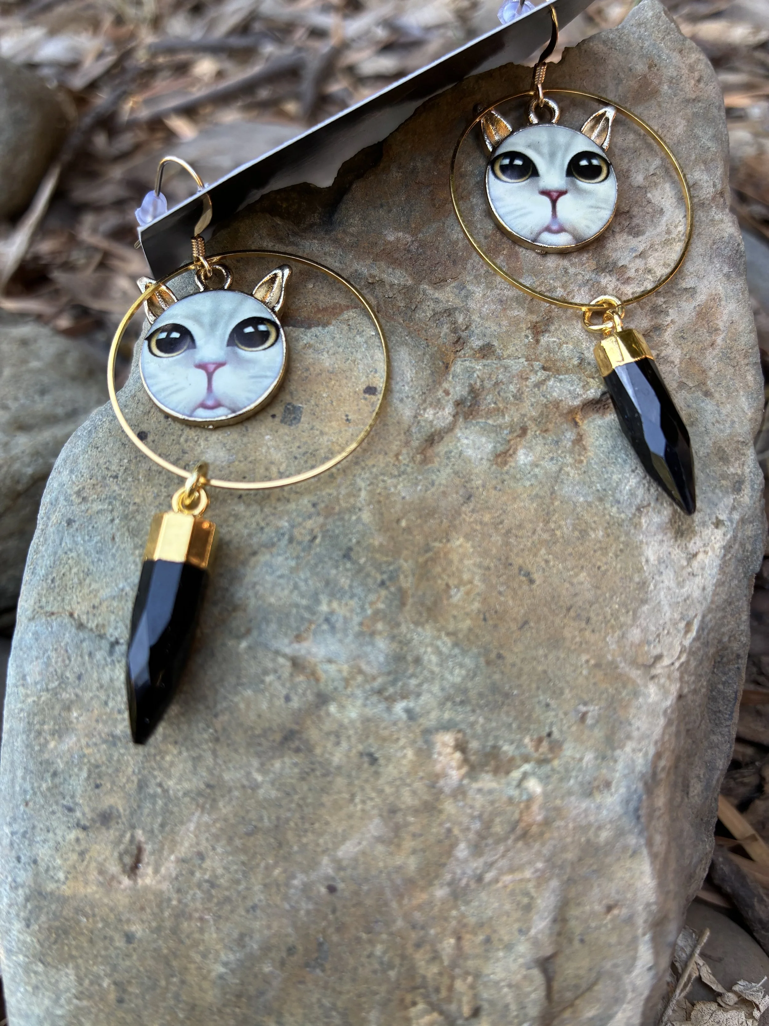 Cats