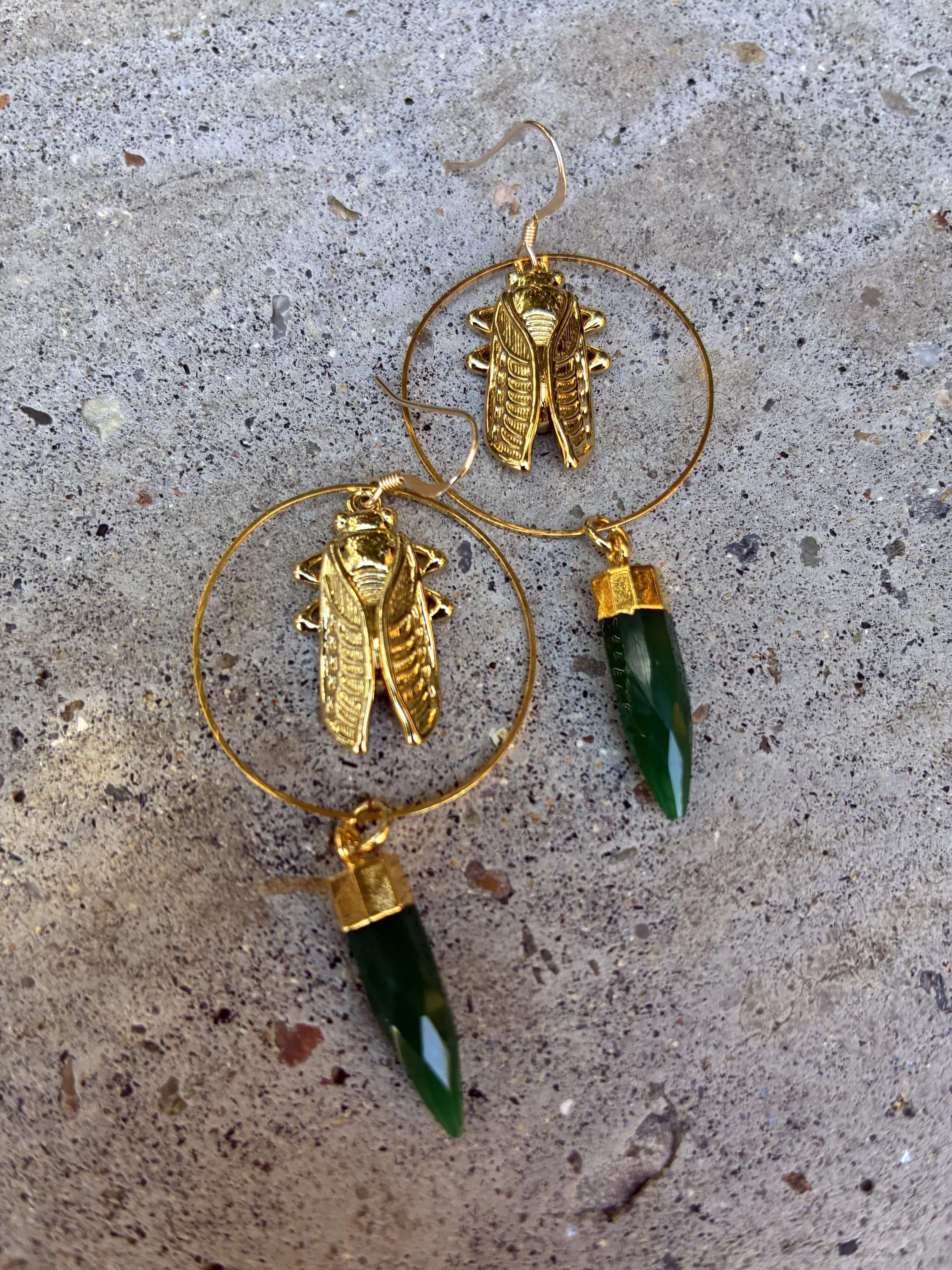 Cicada