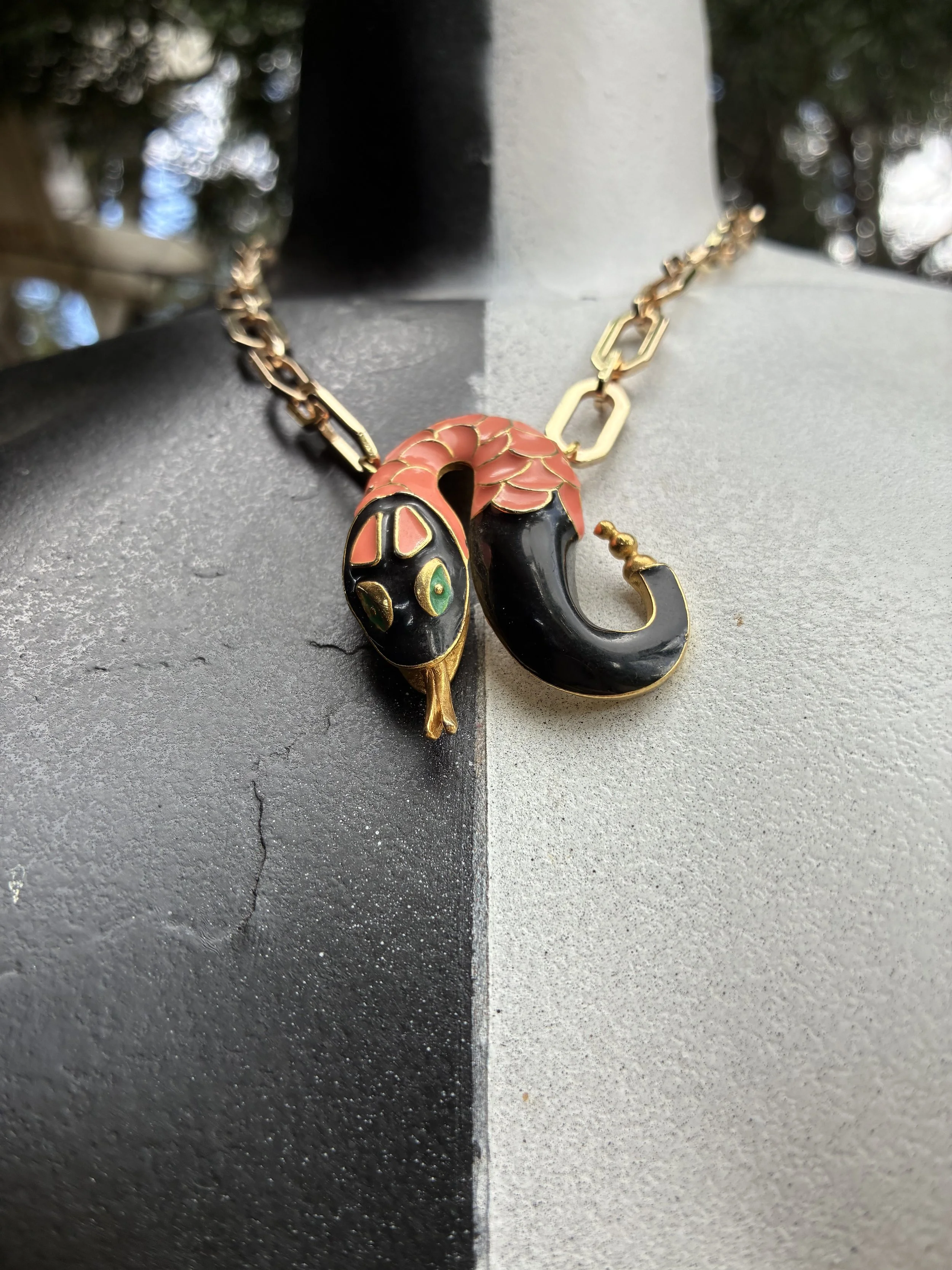 IMG_5215.jpeg