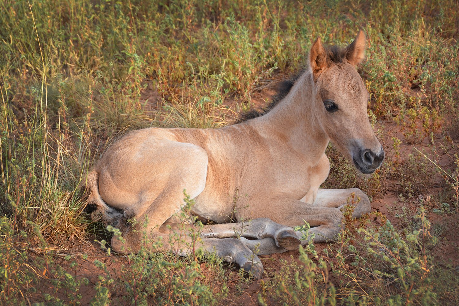 Home DSC_5605 copy 2.JPG