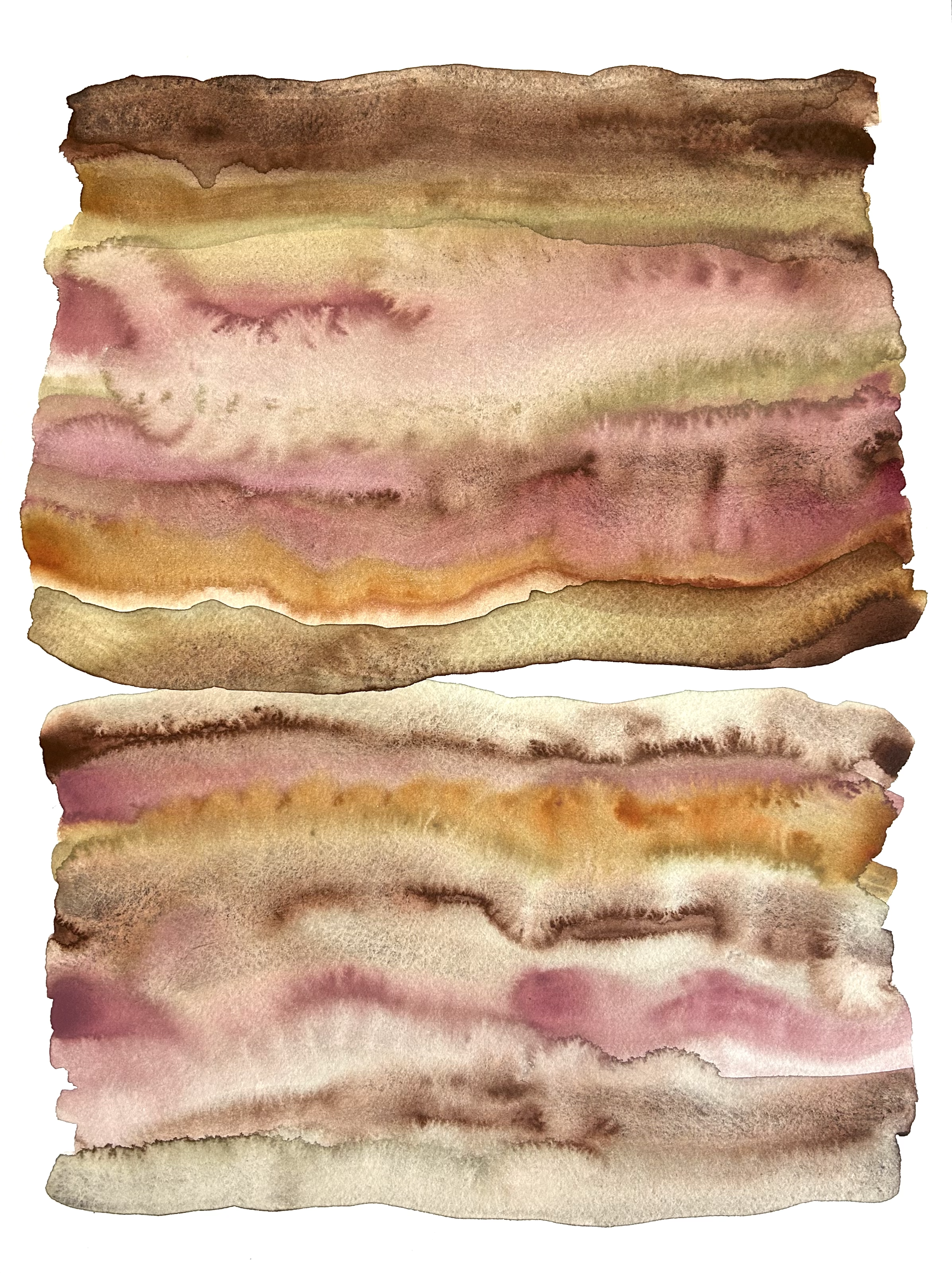 Impulse VII. 11x14". 2026.