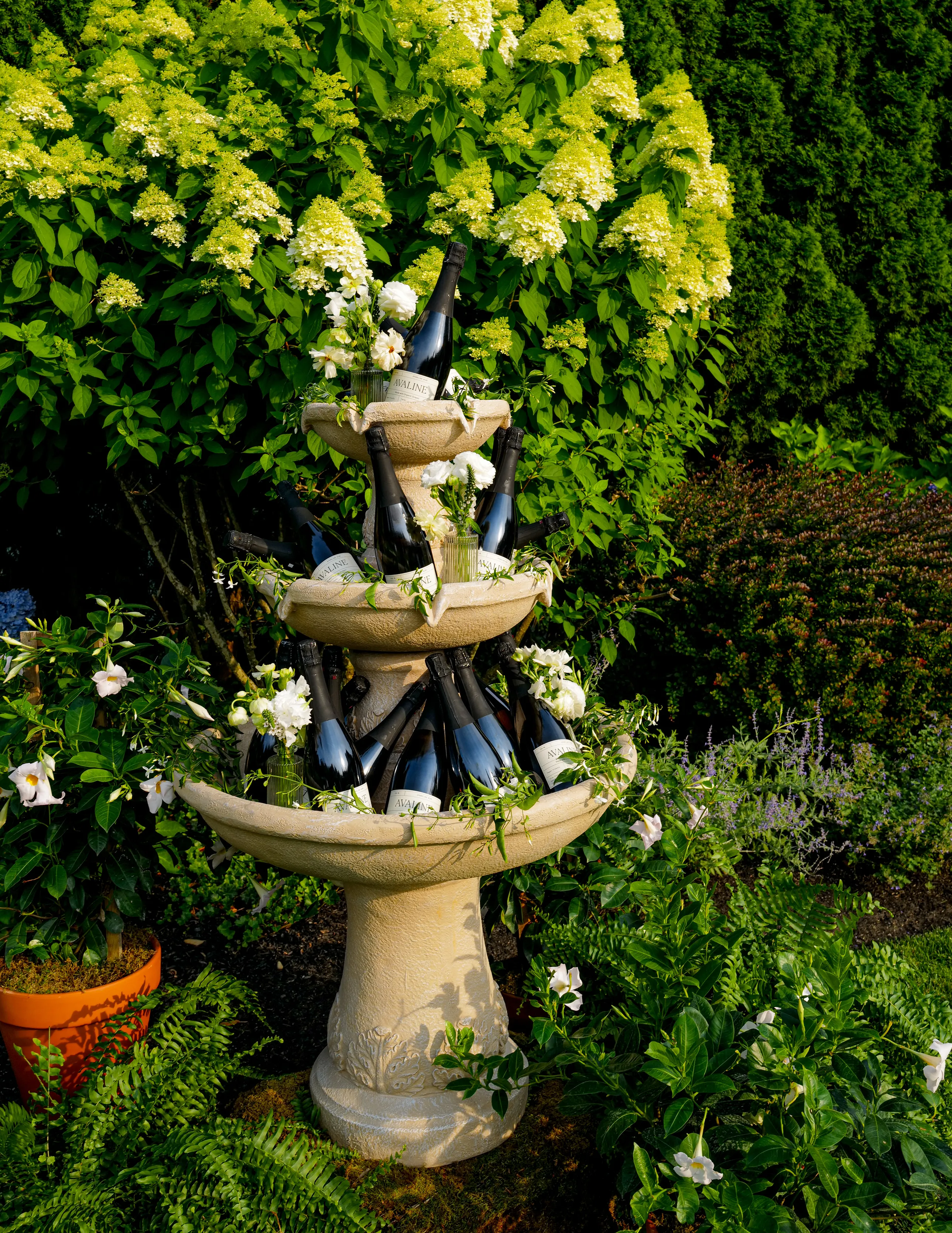 Avaline in the Hamptons with SADIE Creative Events