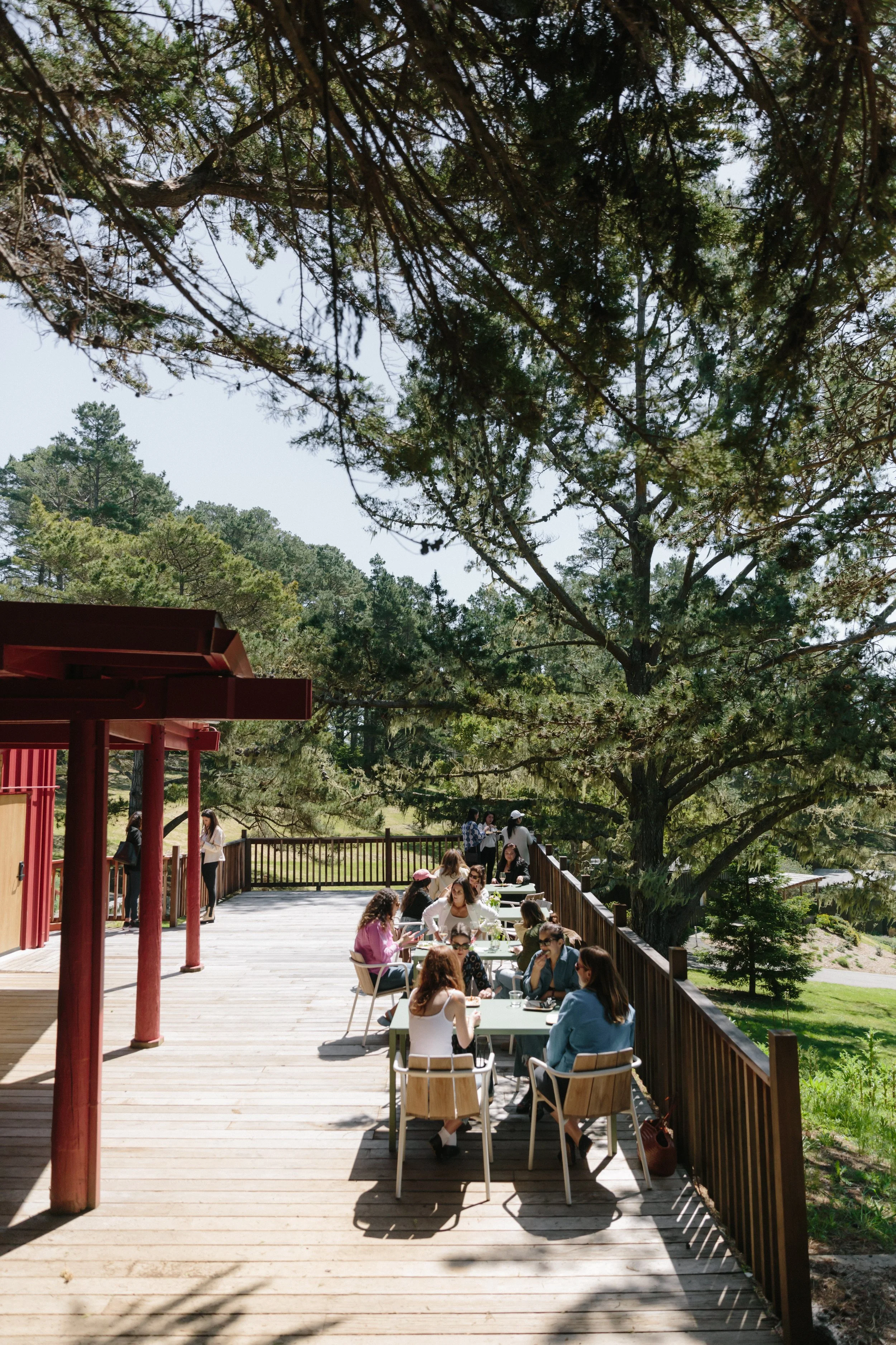 hey freya at  Lodge at Marconi, Tomales Bay with SADIE Creative Events