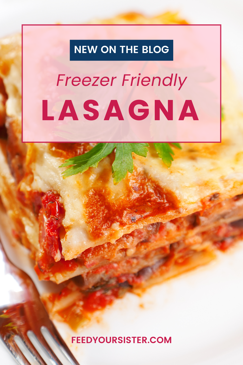 homemadee-lasagna-recipe2.png