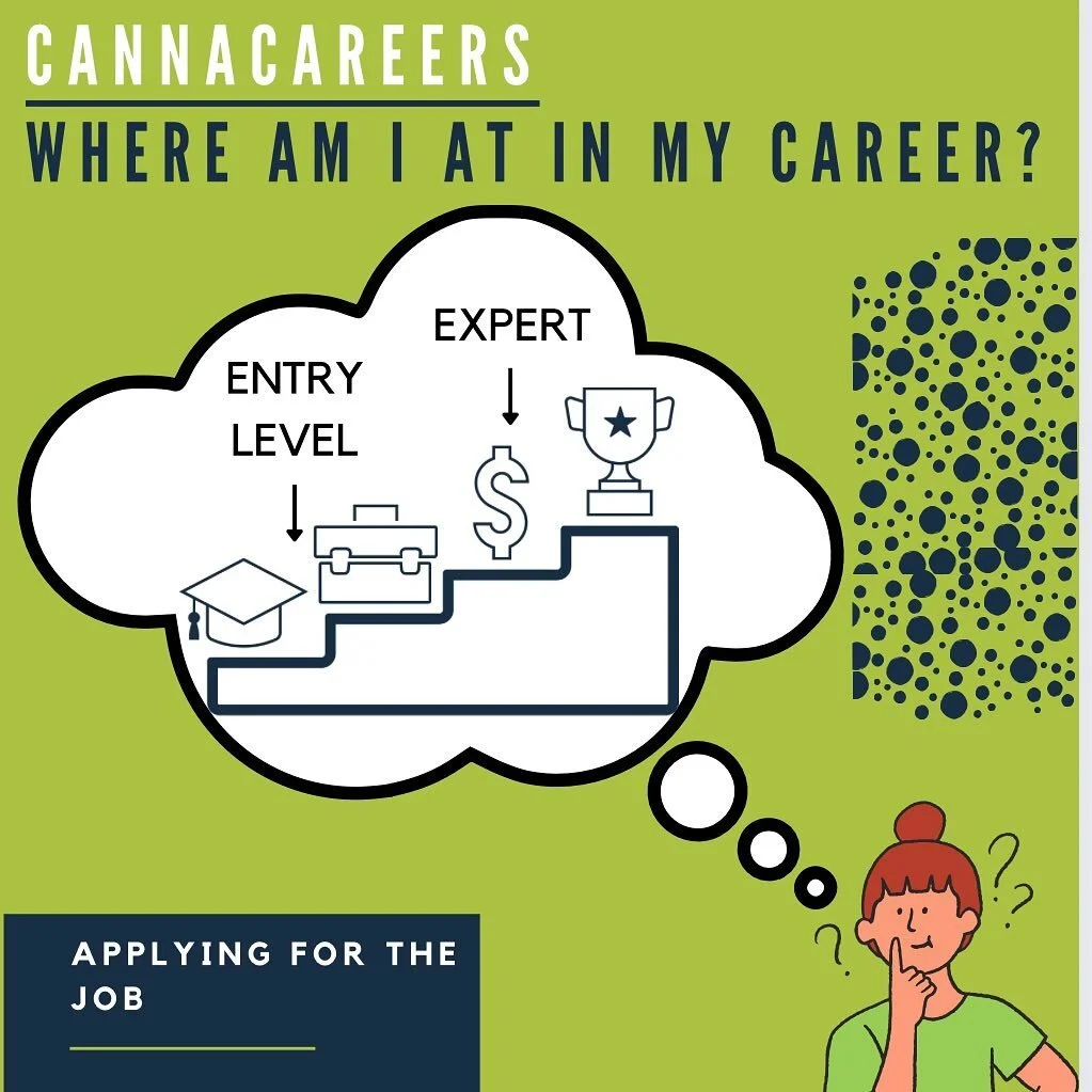 Still not sure how you should be applying for your next job(s)? You need to know on some level where you're at in your career in order to know what the best approach to applying for a job is. How to approach applying for jobs will largely depend on t