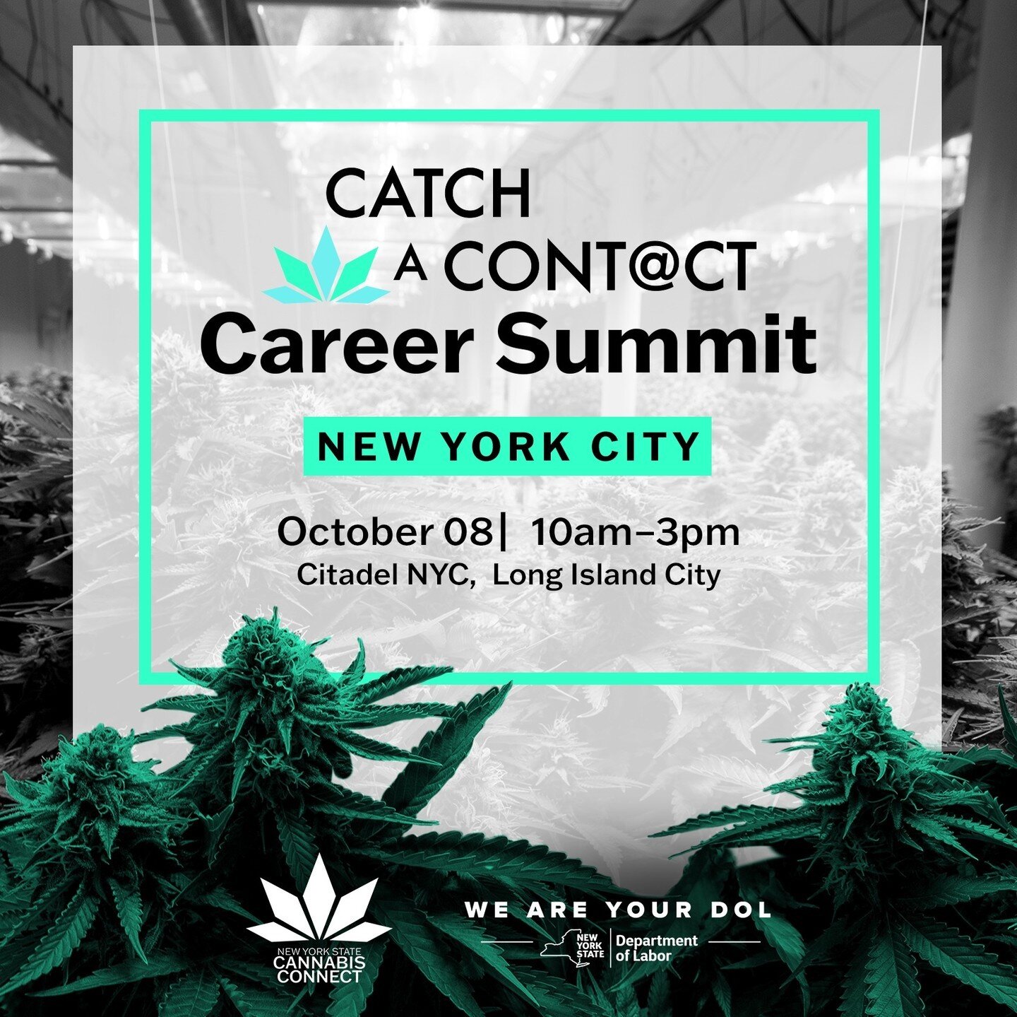 This Saturday 10/8 join us and @nyscannabisconnect in Long Island City for the Catch a Contact Career Summit! 
.
Our founder, Shaloma Wagstaffe, will be speaking along with an incredible lineup of other industry professionals. Registration is free&nd