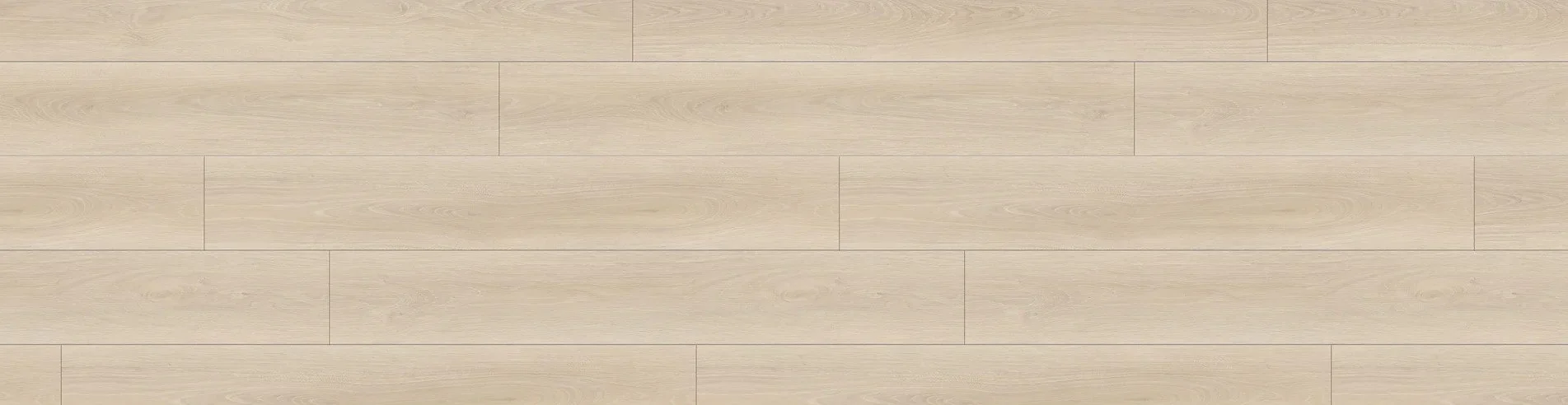 California White.jpeg