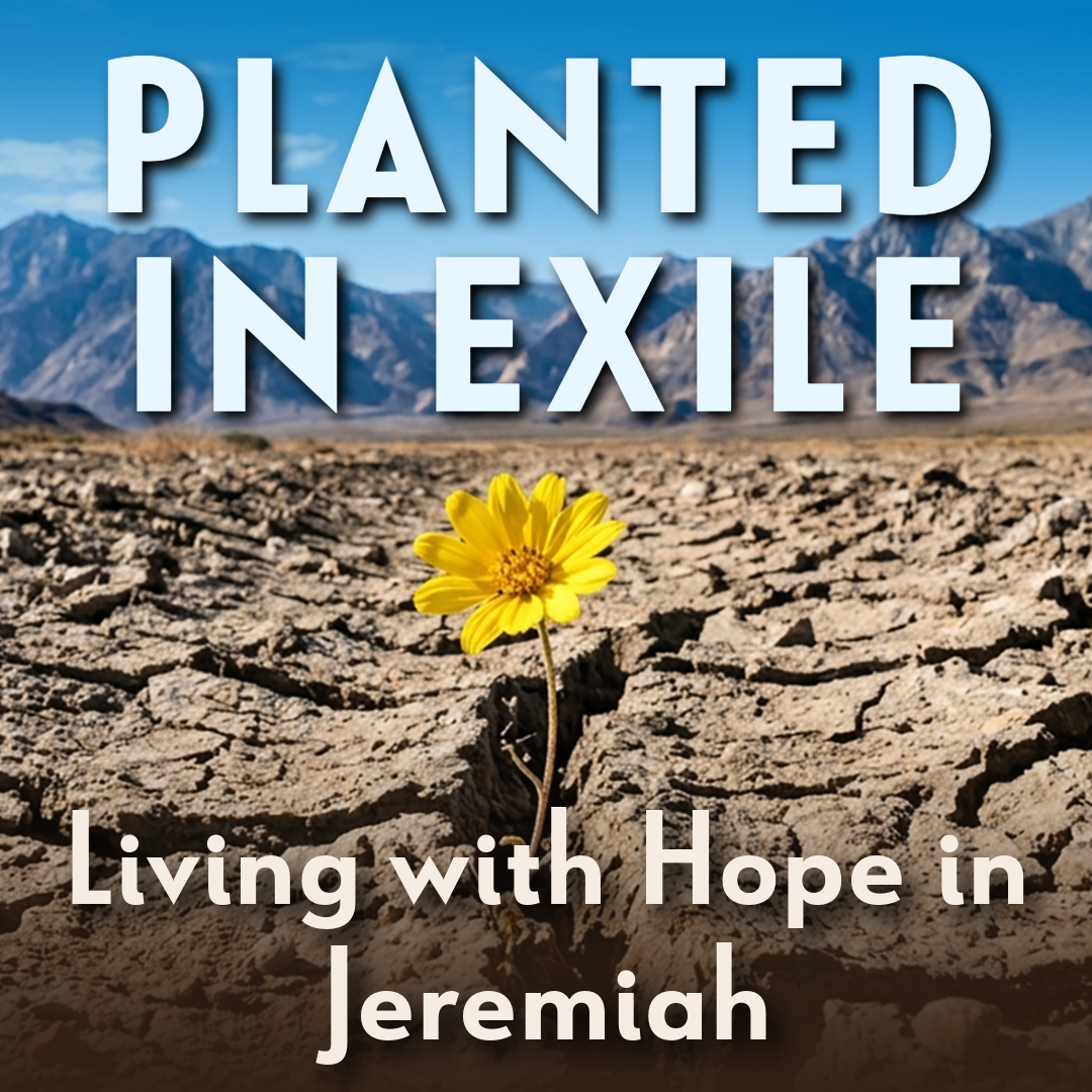 Planted in Exile-SQUARE.png