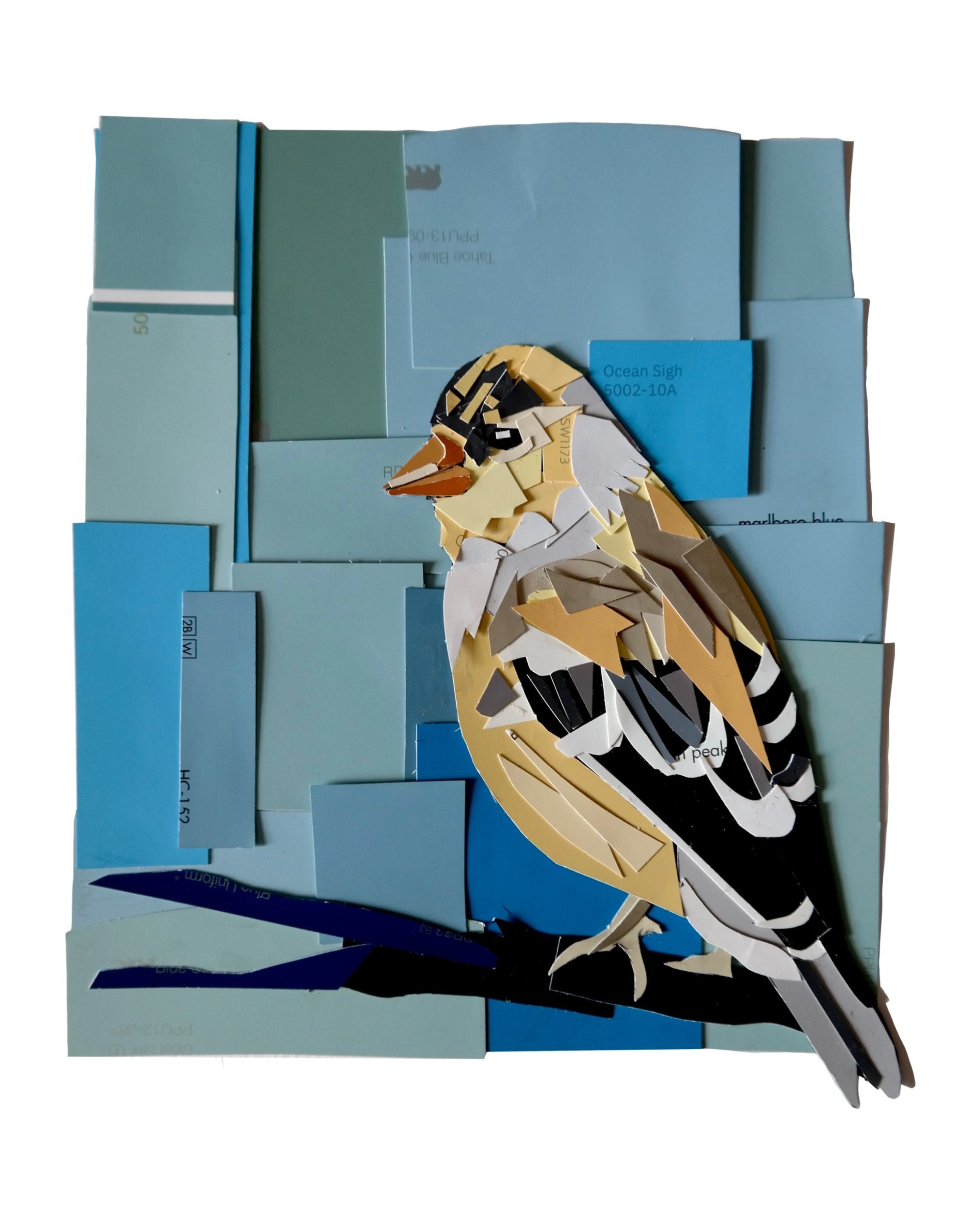 "American Goldfinch." Fine Art Print