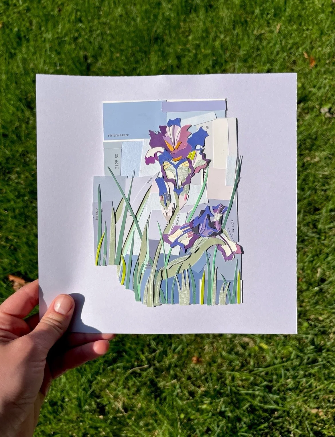 Five new cut-paper florals are available on my website! 

I&rsquo;m not always the best at photographing my own work, so I figured I&rsquo;d go outside and let the sun handle the lighting 😉 

I made these throughout the summer, beginning a little di