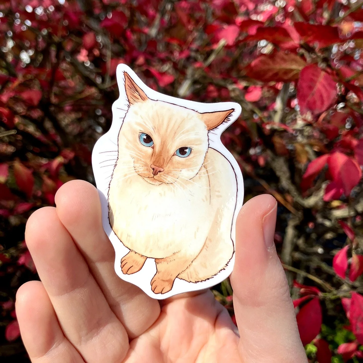 Beautiful autumn days mean Etsy product photos! 🍂🍁🐈

These are some of my newest sticker designs, all of which I&rsquo;ll have this weekend for my two craft fairs! On Saturday, I&rsquo;ll be at the Malta Harvest Craft Fair by @malta_parks_and_rec 