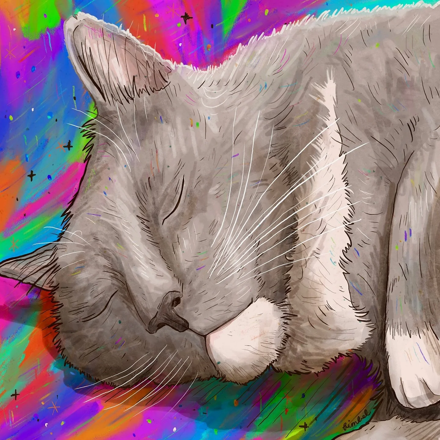 Pinky appreciation post! Pinky is my parents&rsquo; fluffy, grumpy cat. The rainbow drawing is brand new, but swipe through to see my other Pinky illustrations, plus some photos of the kitty himself. 💛💛