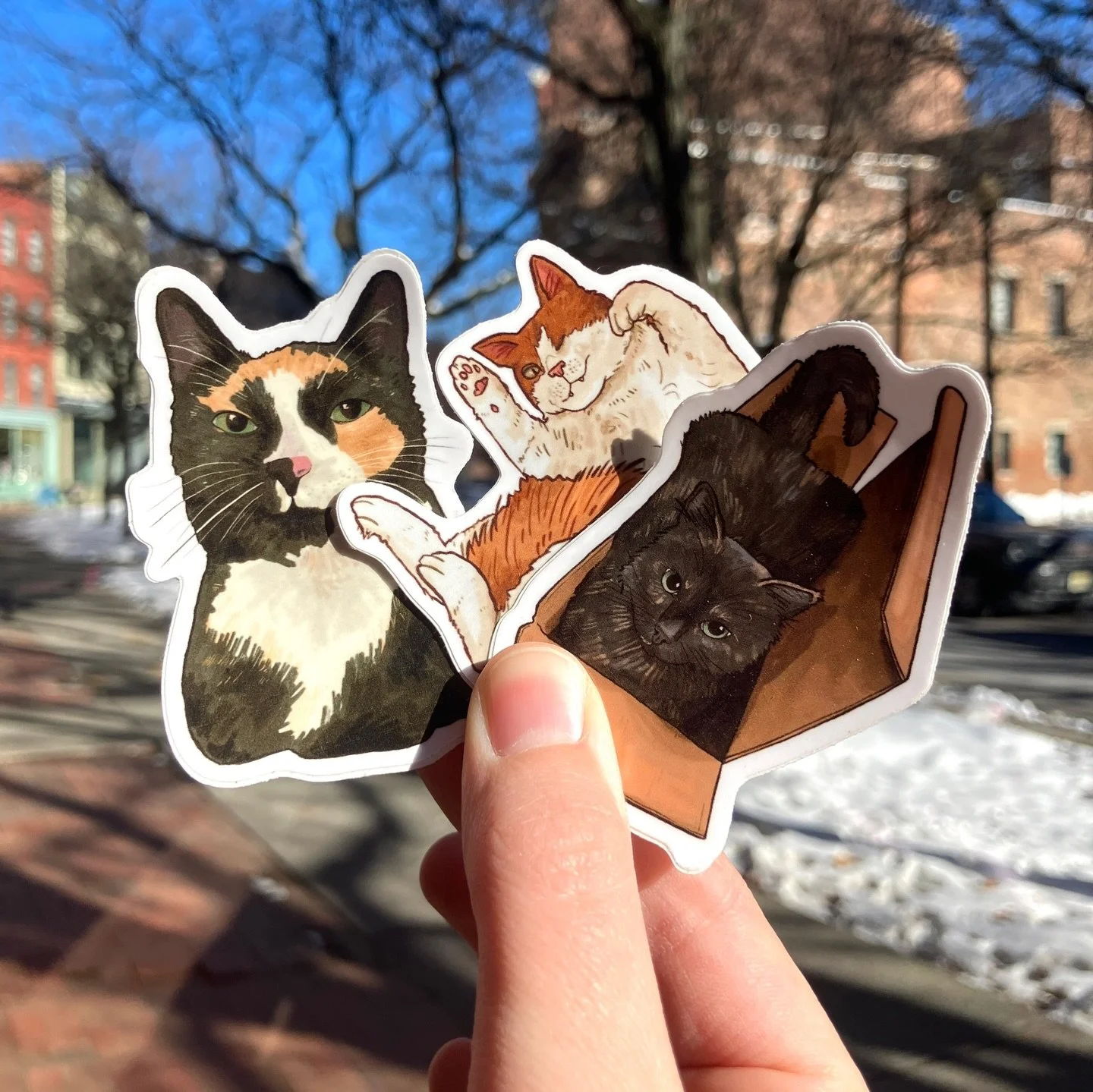 The snow is beautiful, but I&rsquo;m never prepared for these below freezing temperatures. I can&rsquo;t believe it got to 1 degree this morning in Troy and Albany 💀

Anyway, I&rsquo;m at @hanginhandmadeboutique today until 5:30! My shelves are full