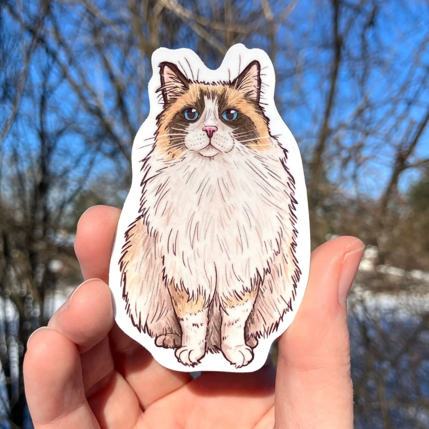 My nine newest sticker designs are LIVE on Etsy and Faire! We were graced with a not-super-windy, cold-but-not-too-cold, sunny day, which is exactly what I needed for my main product photos.

I'll also have these stickers with me later this week at t
