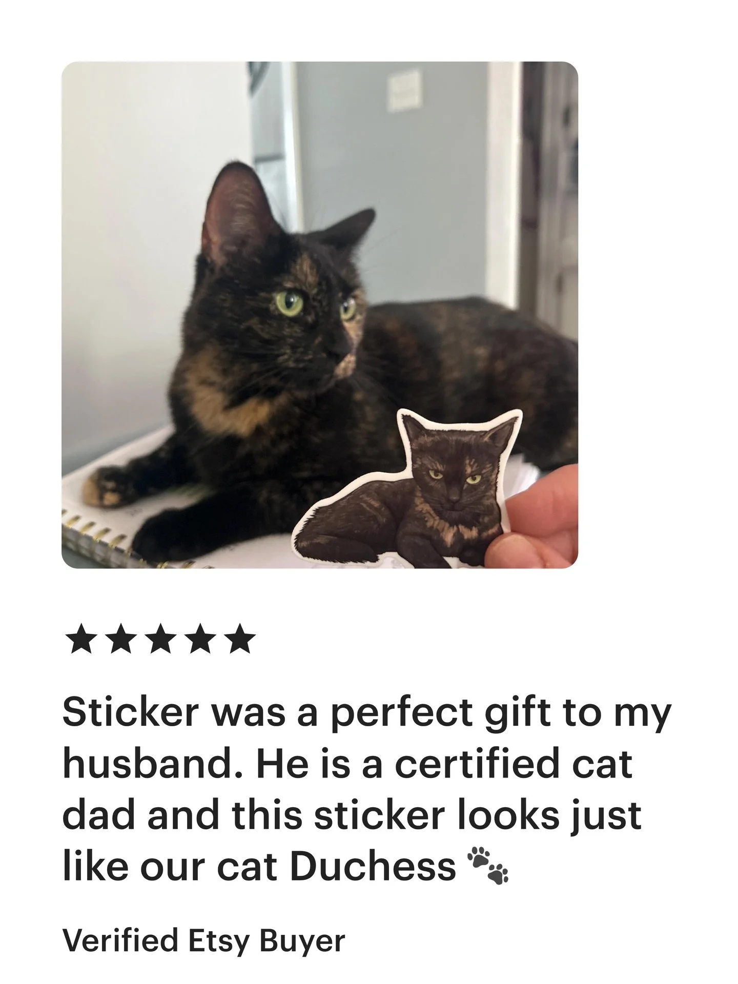 Just some of many kind Etsy reviews I&rsquo;ve received recently! 😊 P.S. If you haven&rsquo;t gone outside today and you live in/around Albany like I do, GO OUTSIDE! It&rsquo;s beautiful out there. 💛