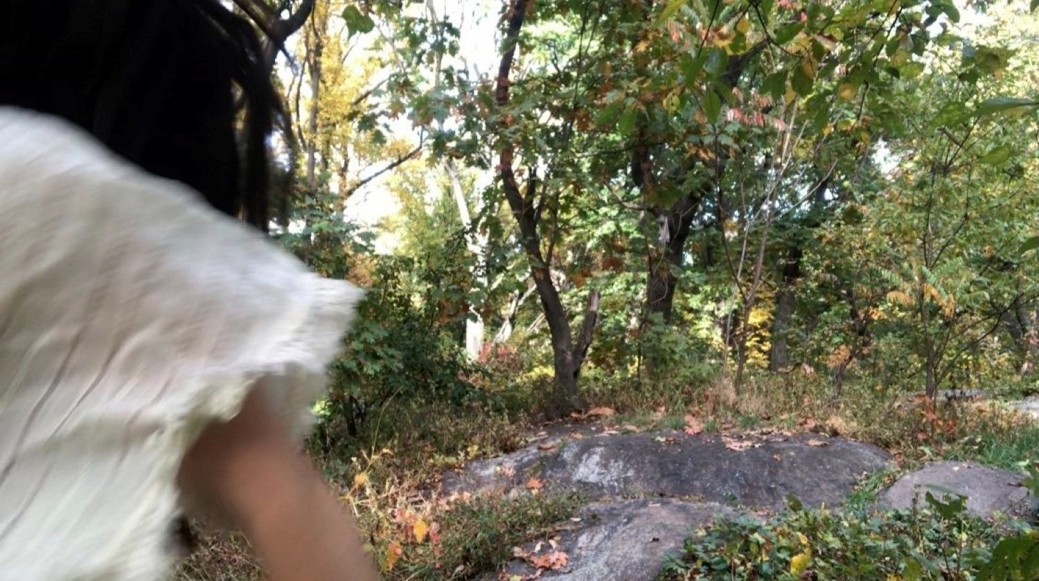 Crossing Nature 1.jpg