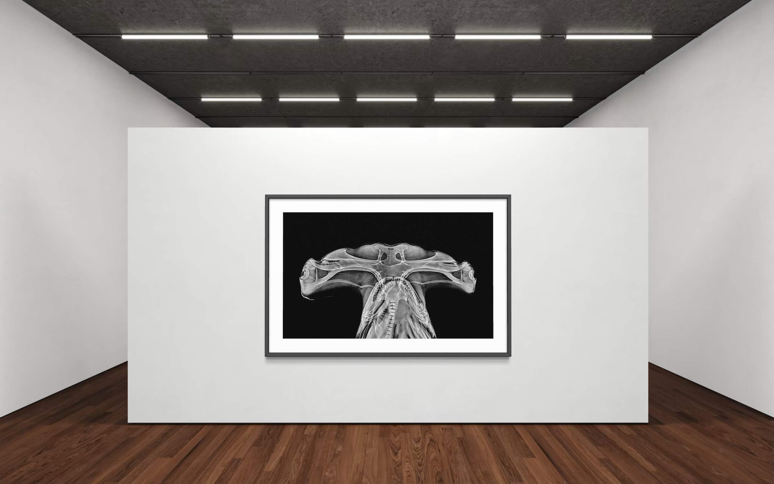 Jan-Menzel-Art-12.jpeg