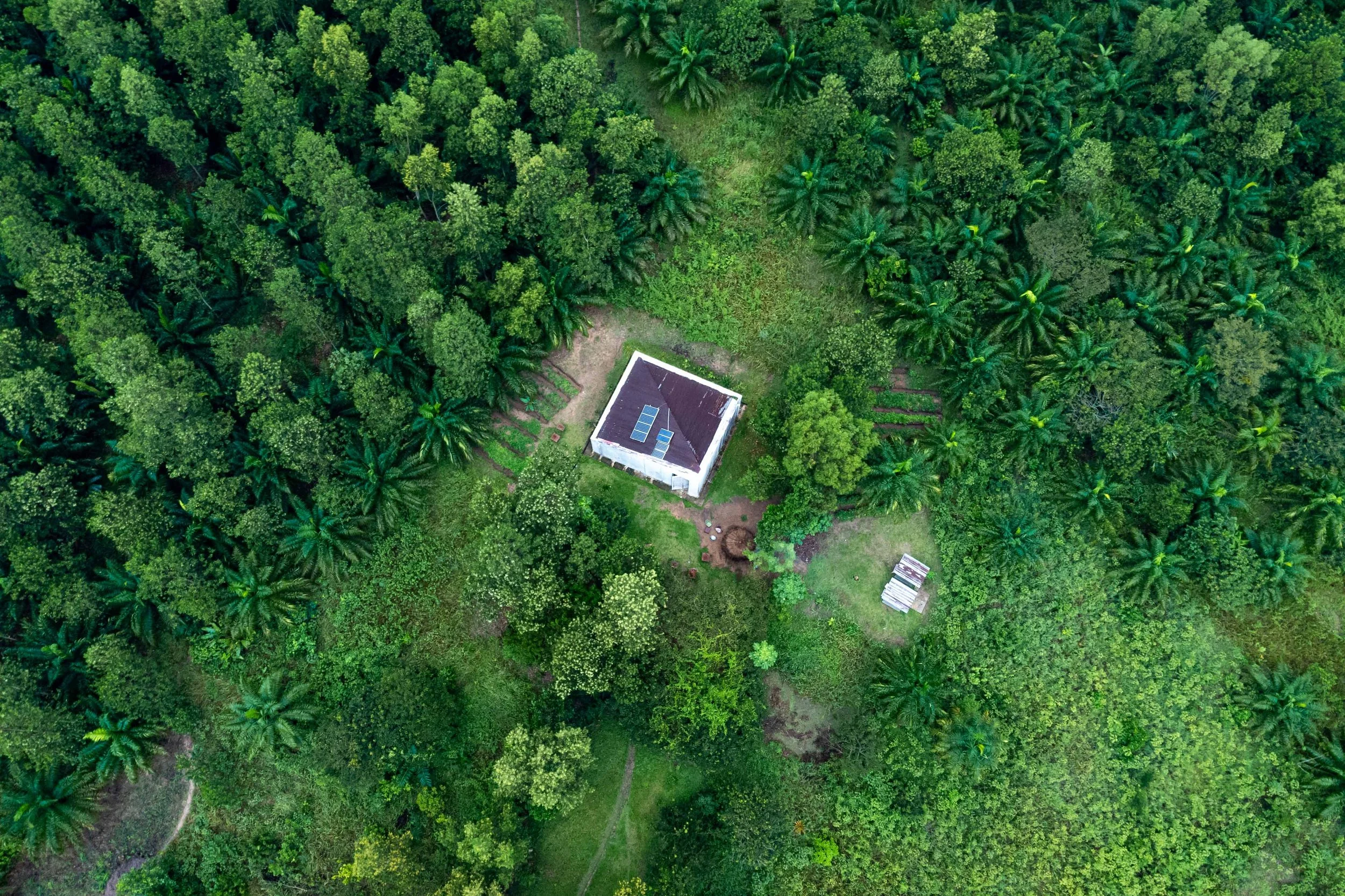 Aerial view of the White Cube Museum, surrounded by regenerated forest. Lusanga, Democratic Republic of the Congo, February 2025.